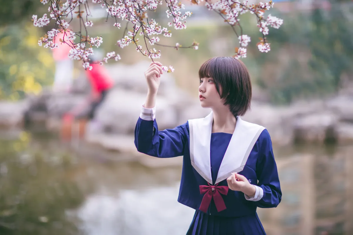 樱花树下