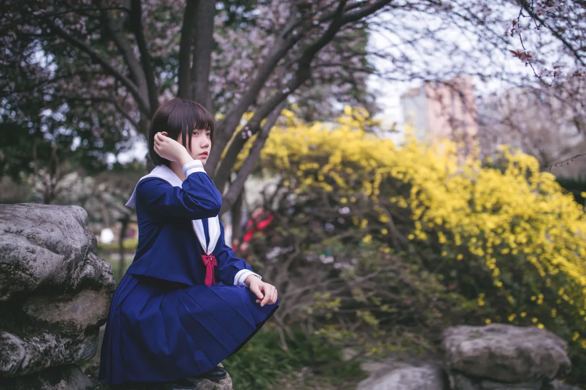 樱花树下