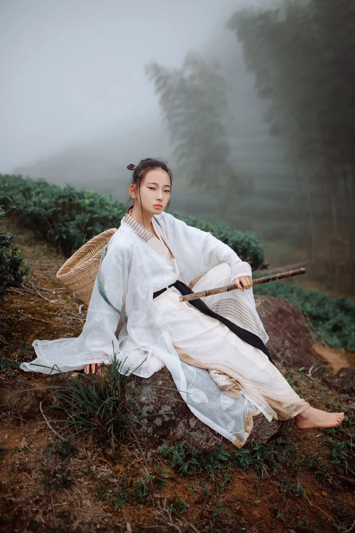采茶纪