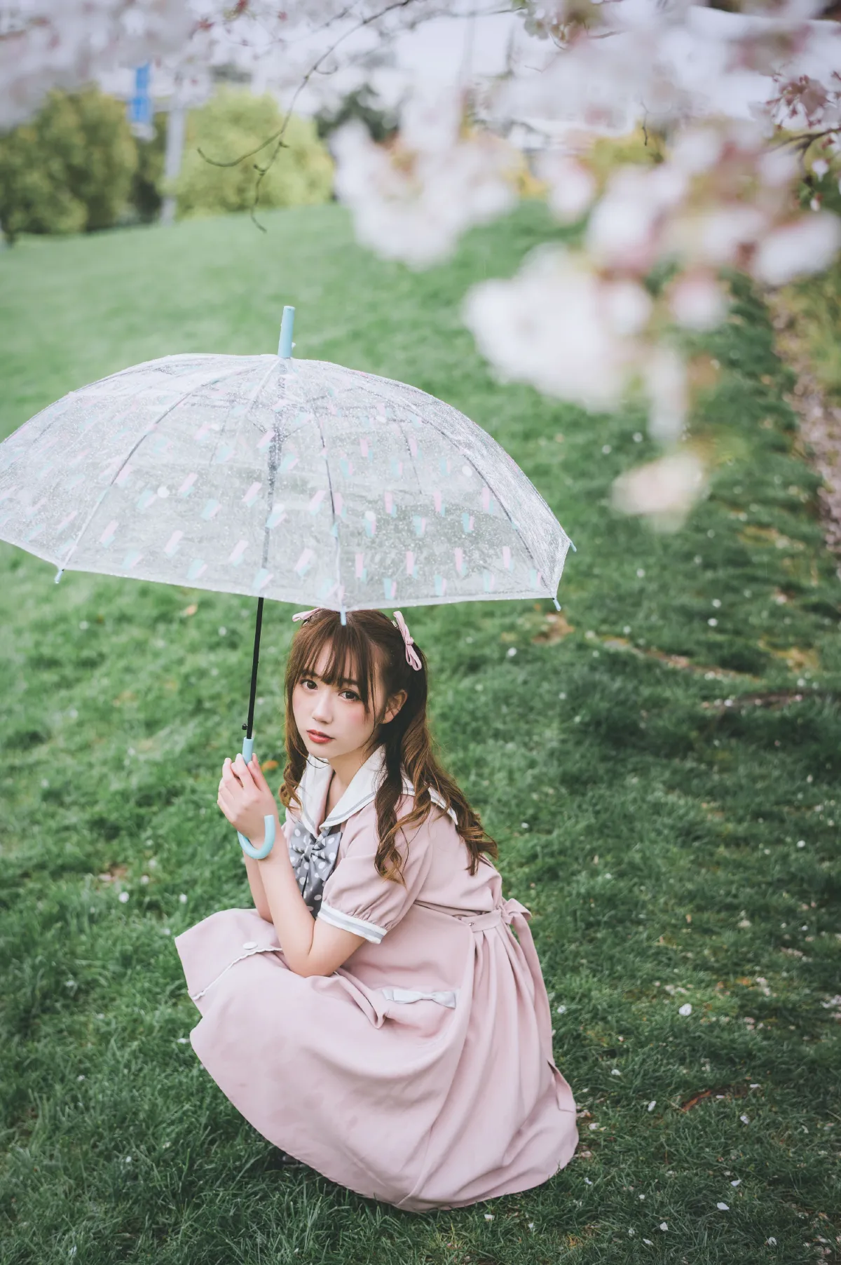 雨樱1