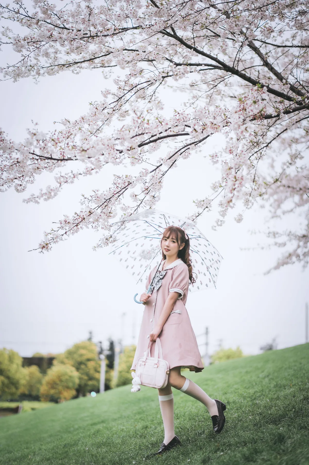 雨樱