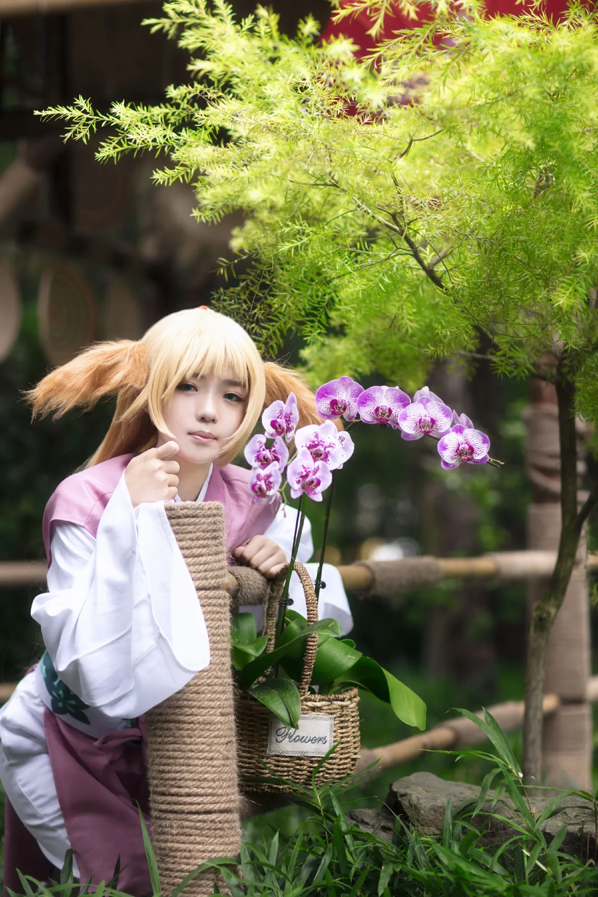 涂山苏苏1