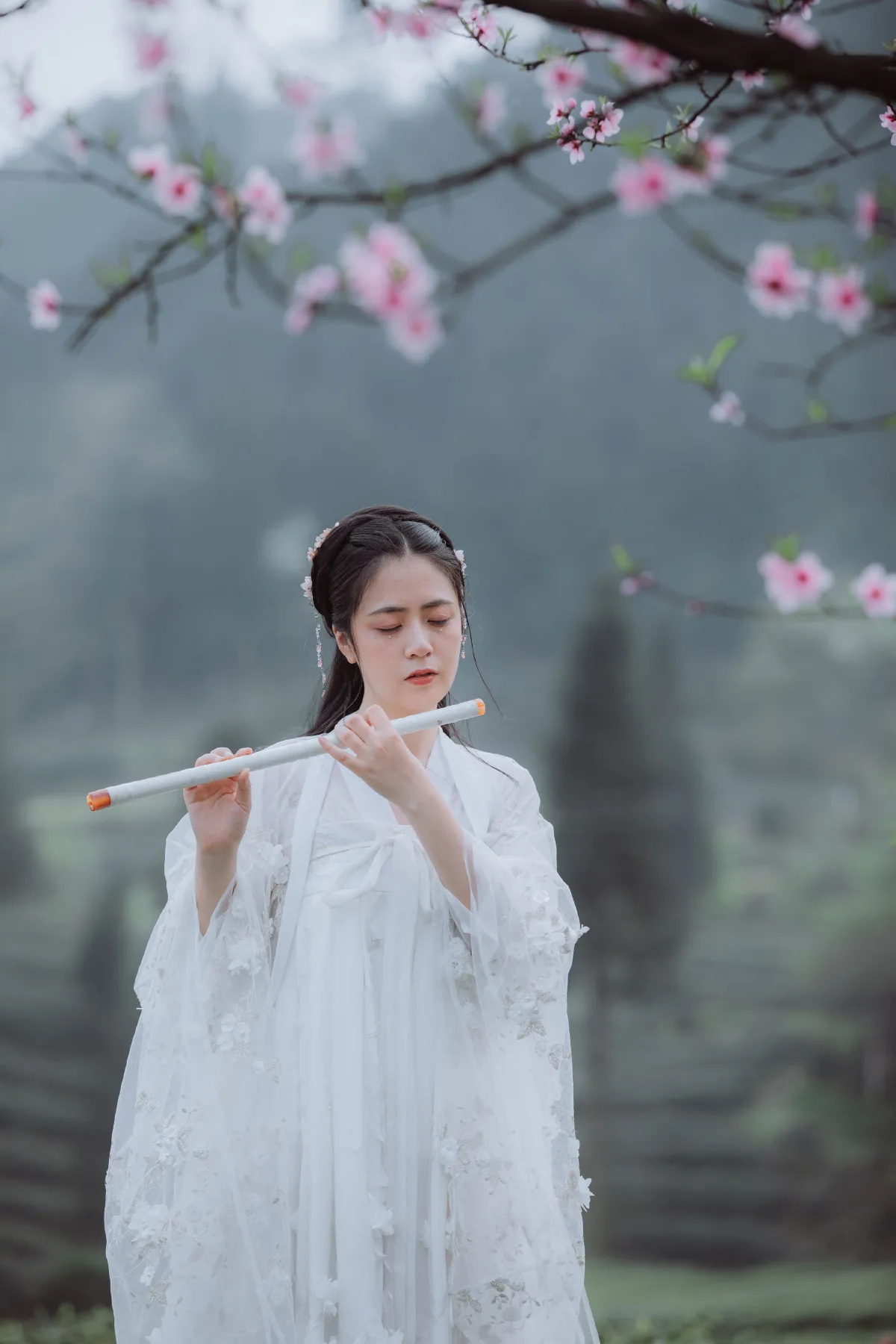 清平乐1