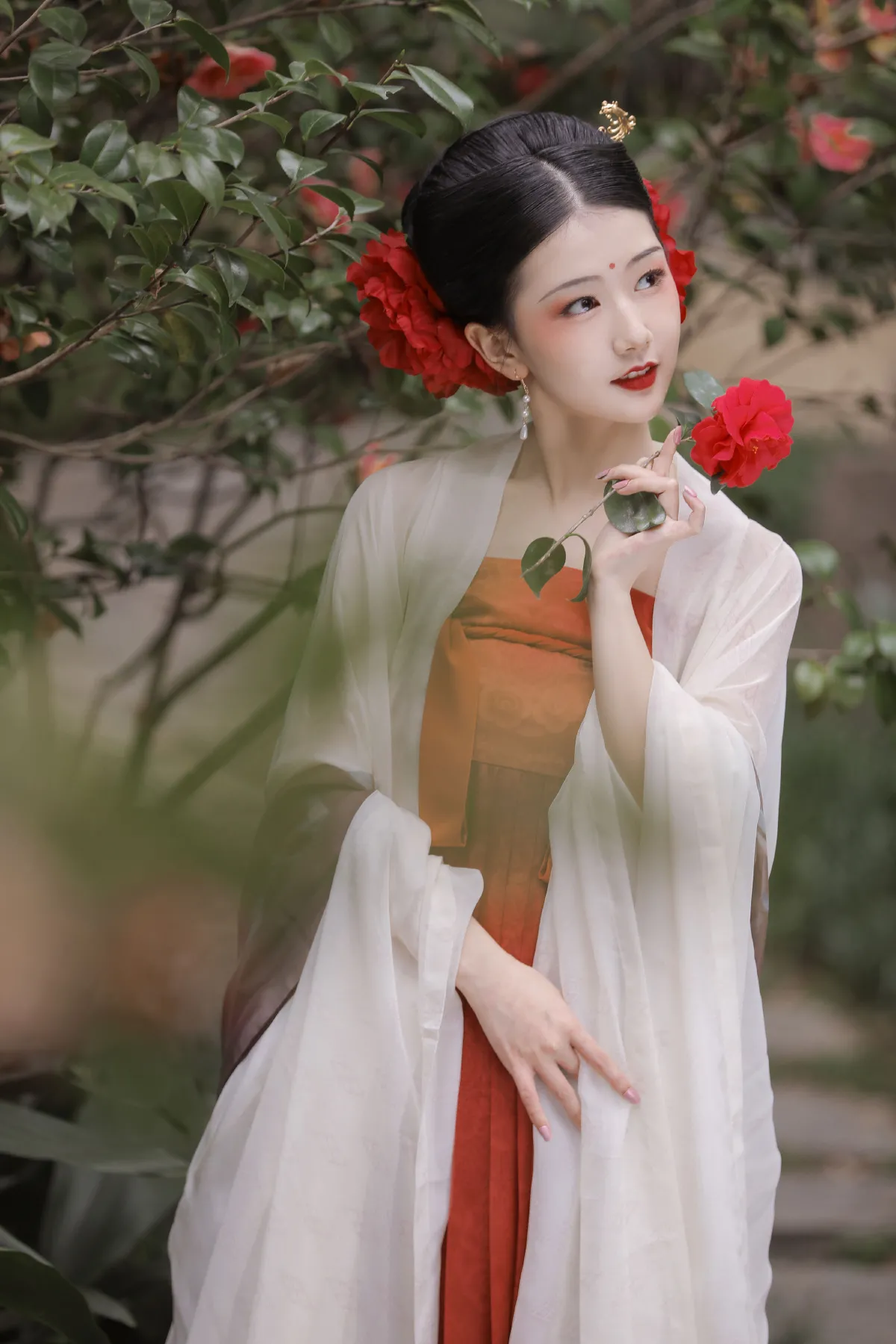 见山茶