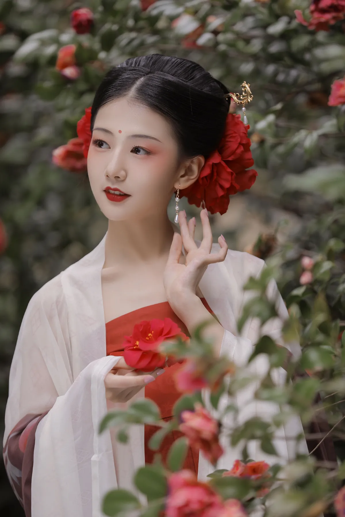 见山茶