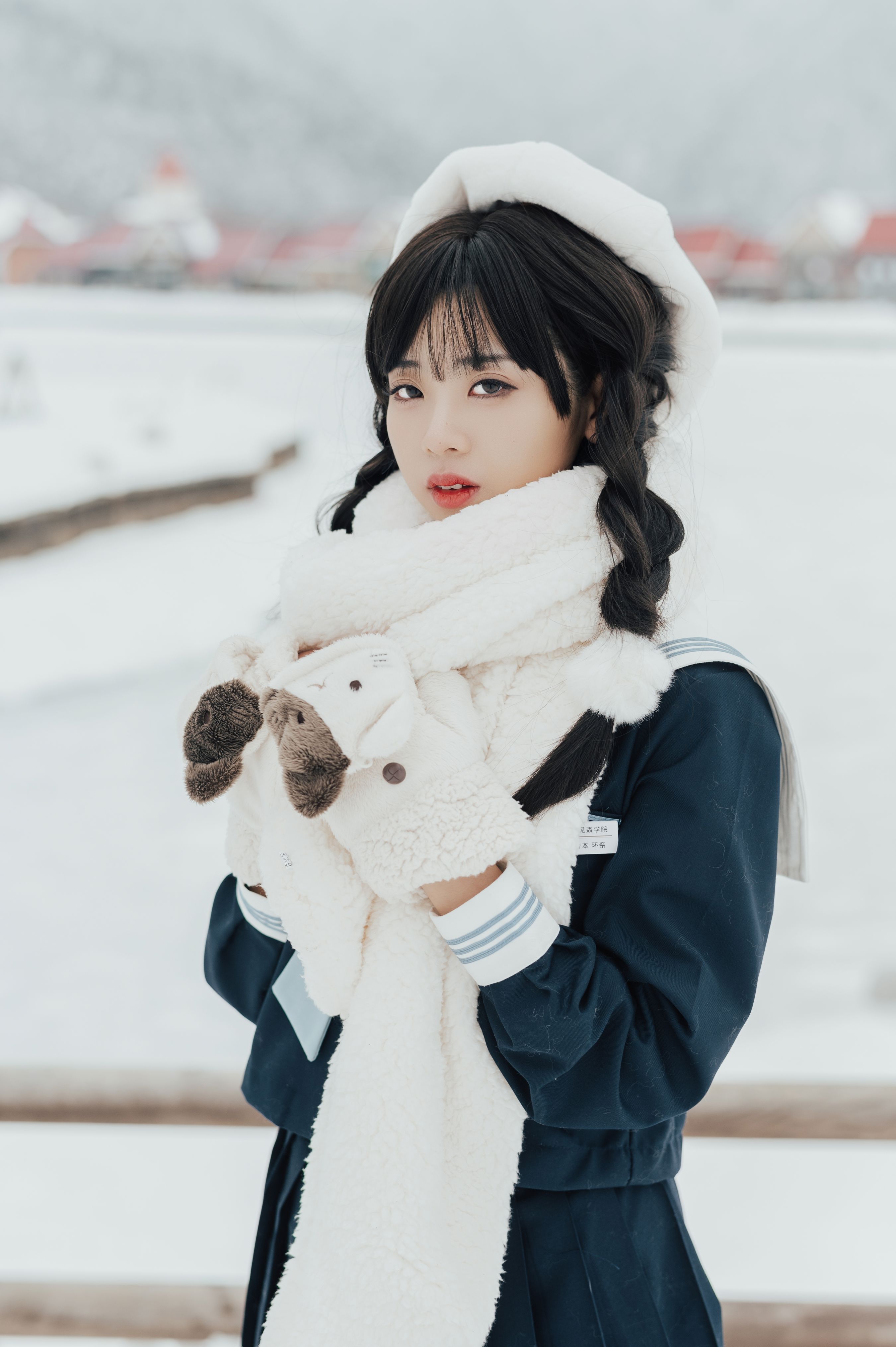 南国的雪
