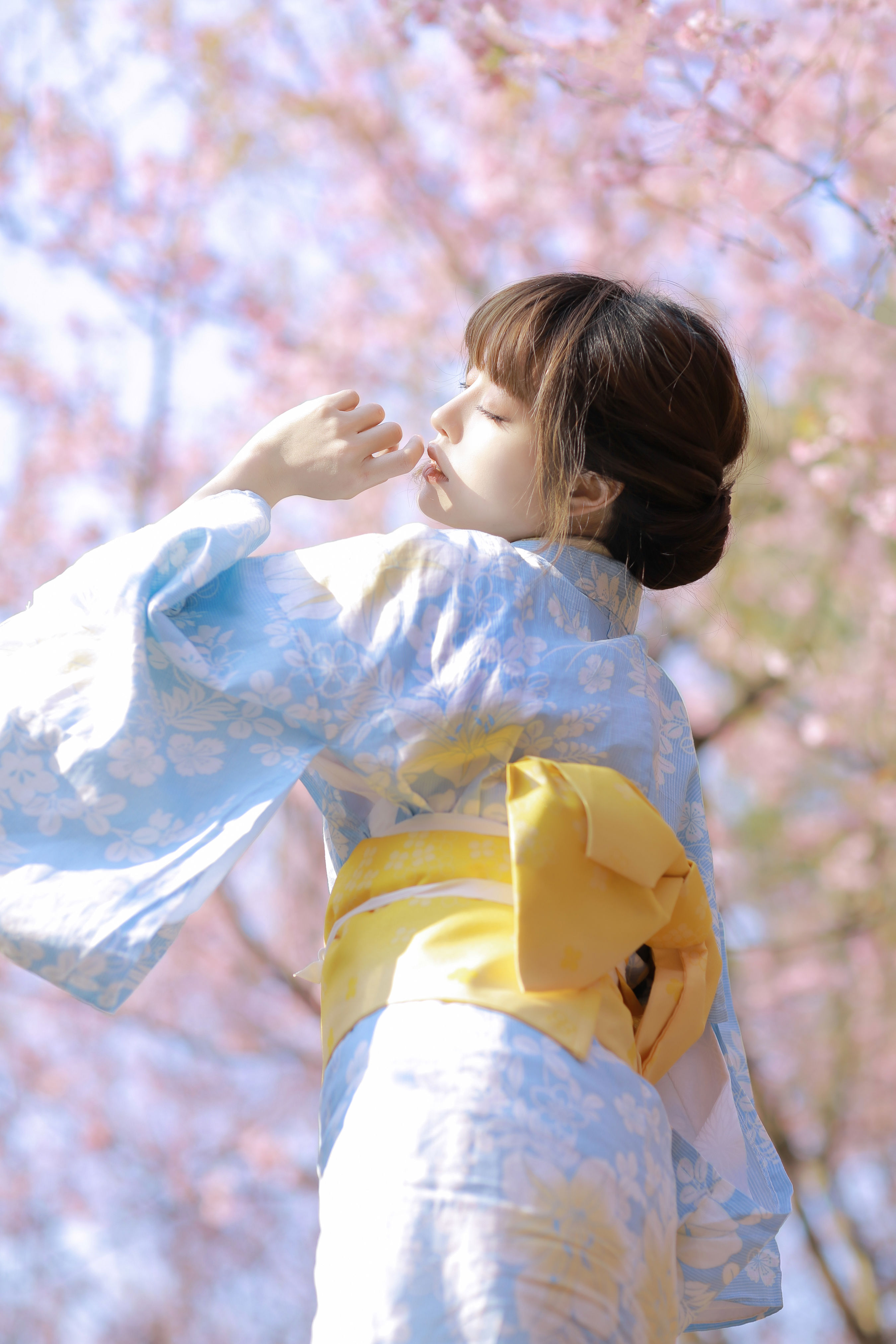 樱花物语