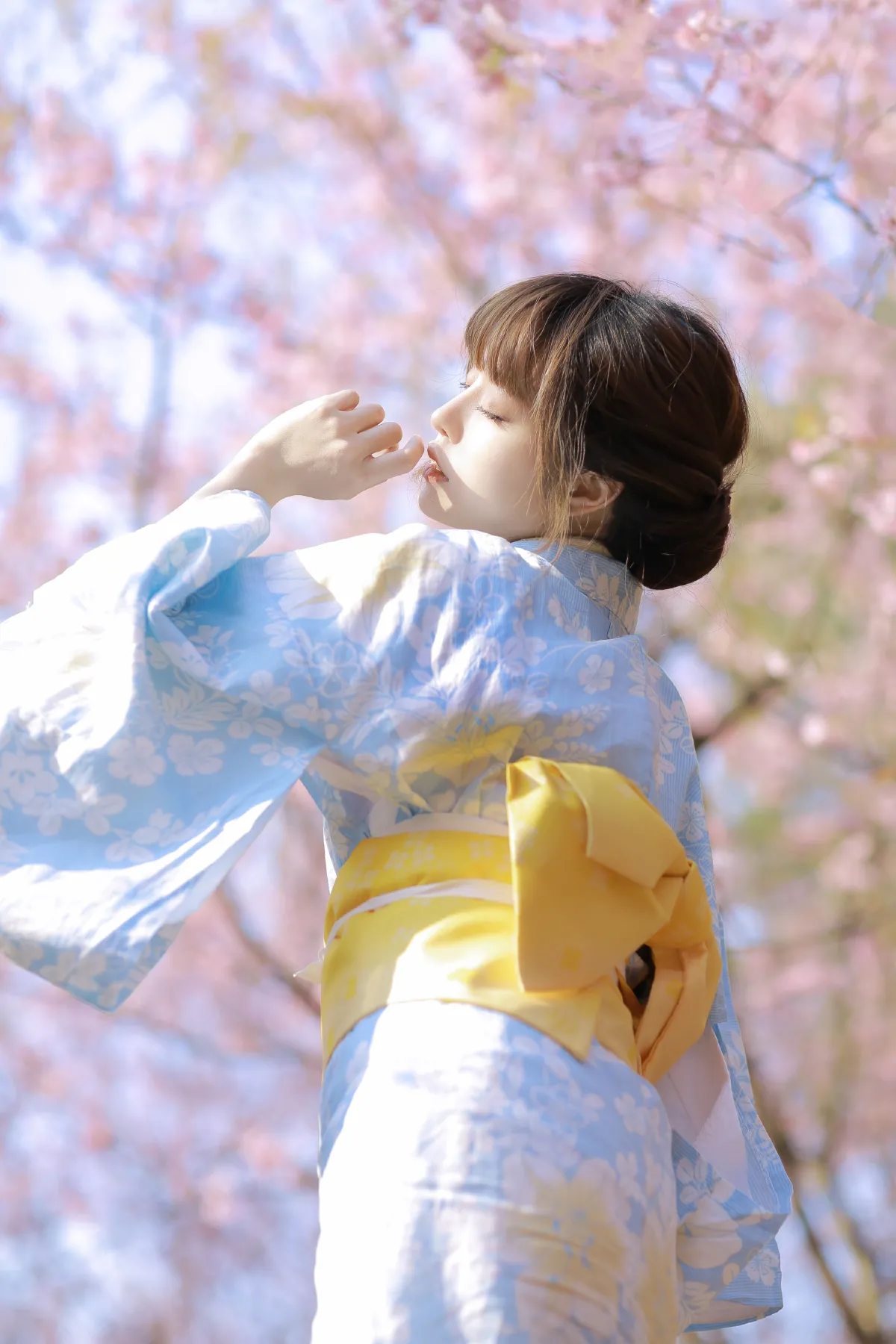 樱花物语1