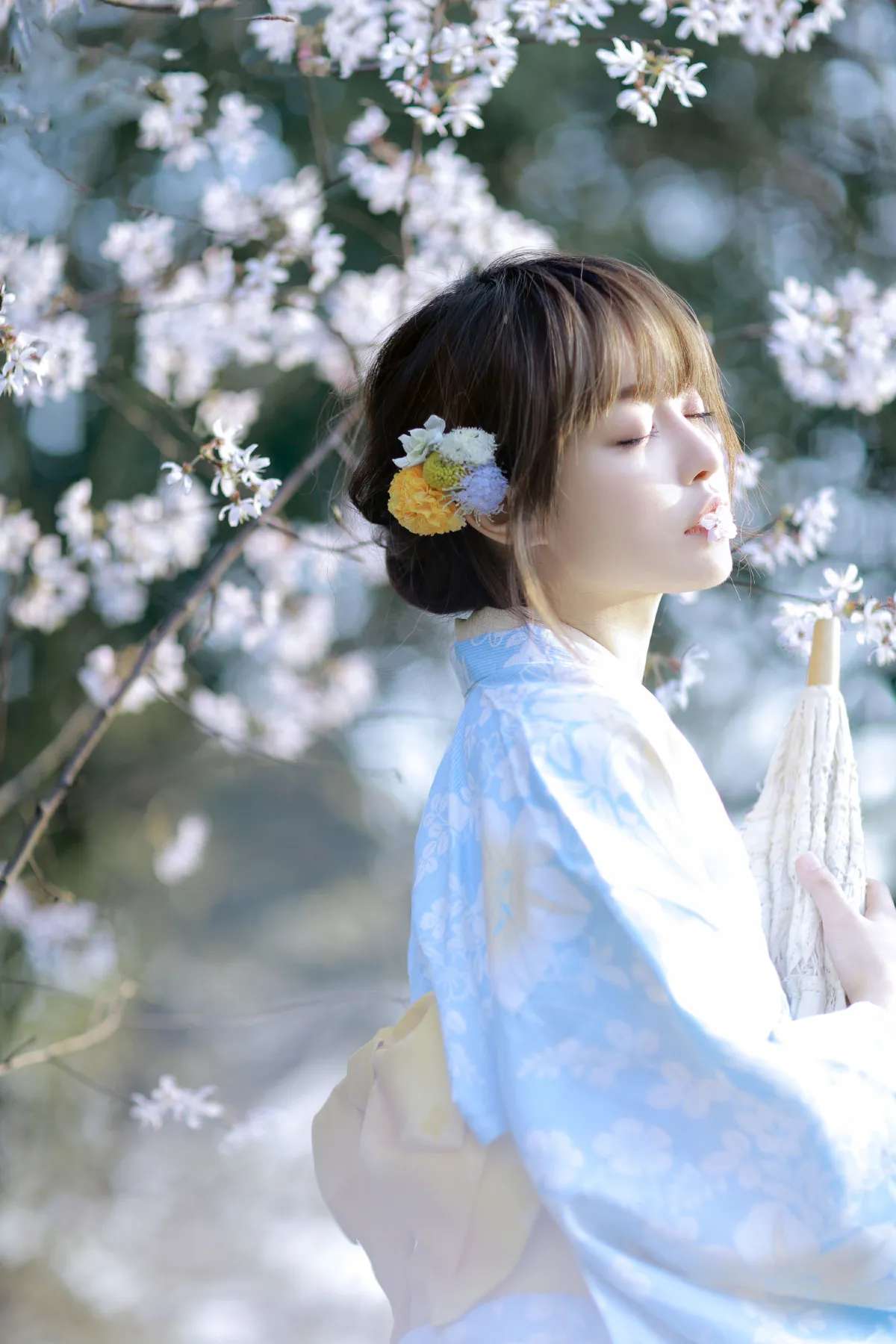 樱花物语