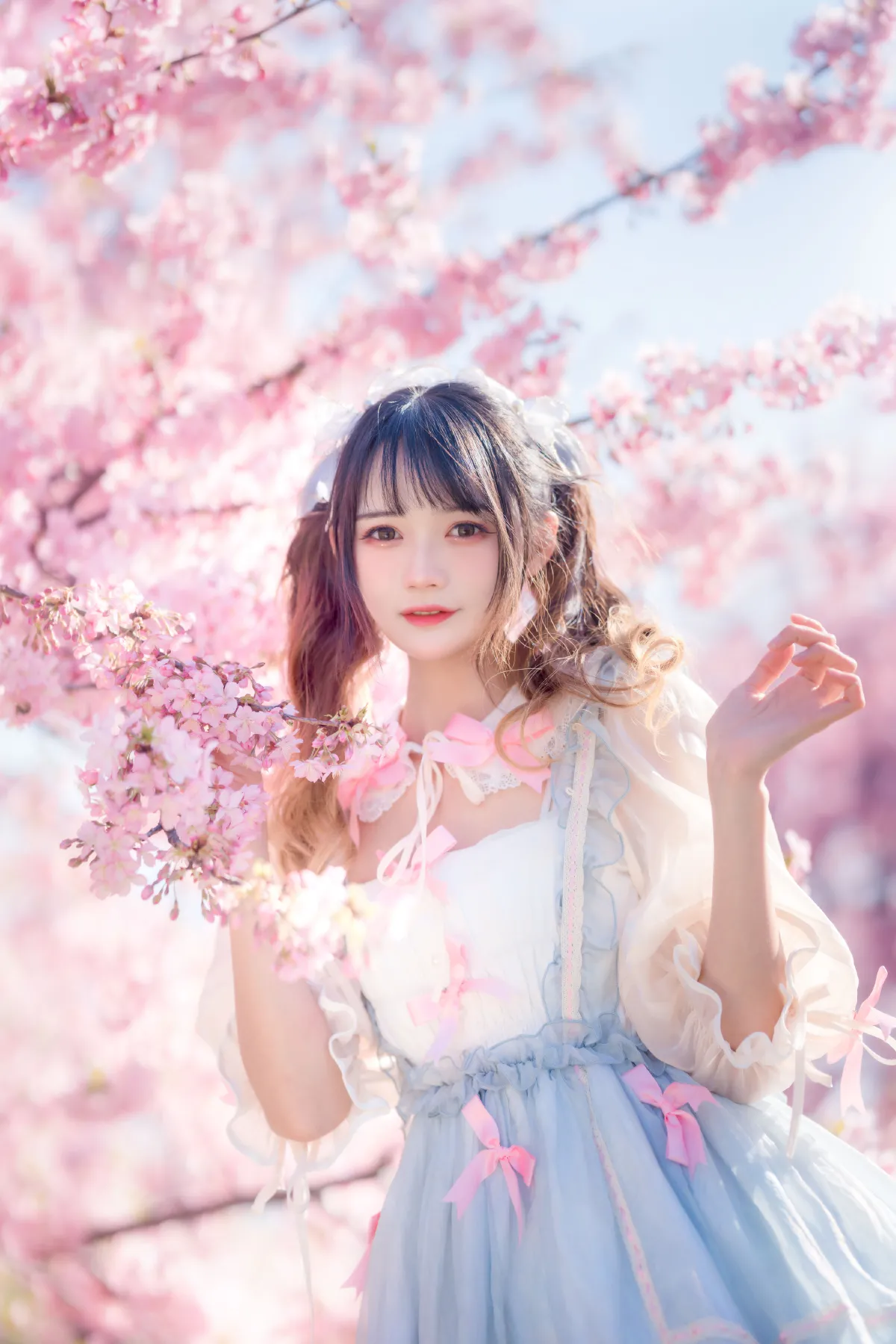 粉色春天1