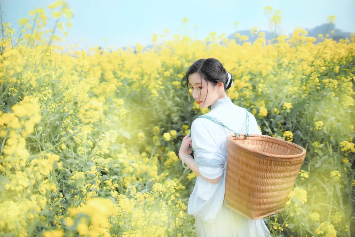 春日迟迟