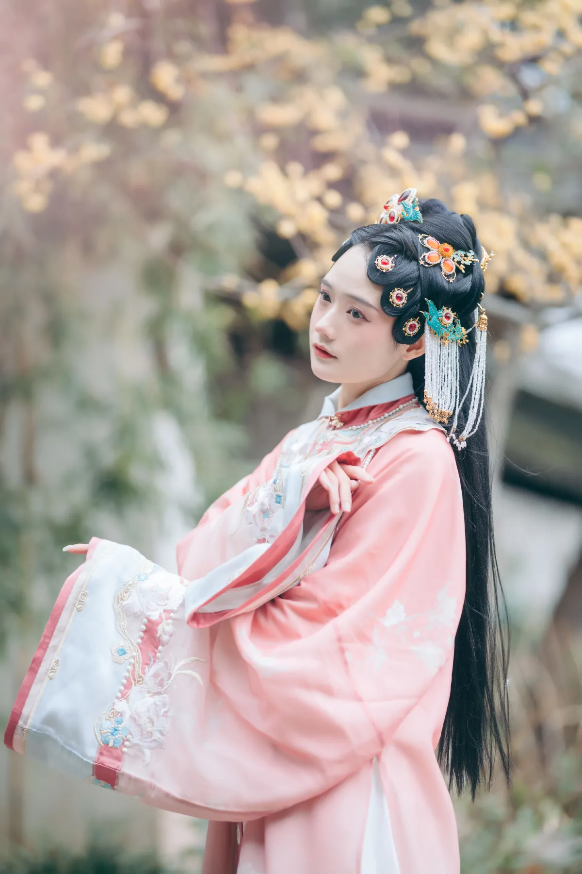 春来 · 二月梅3