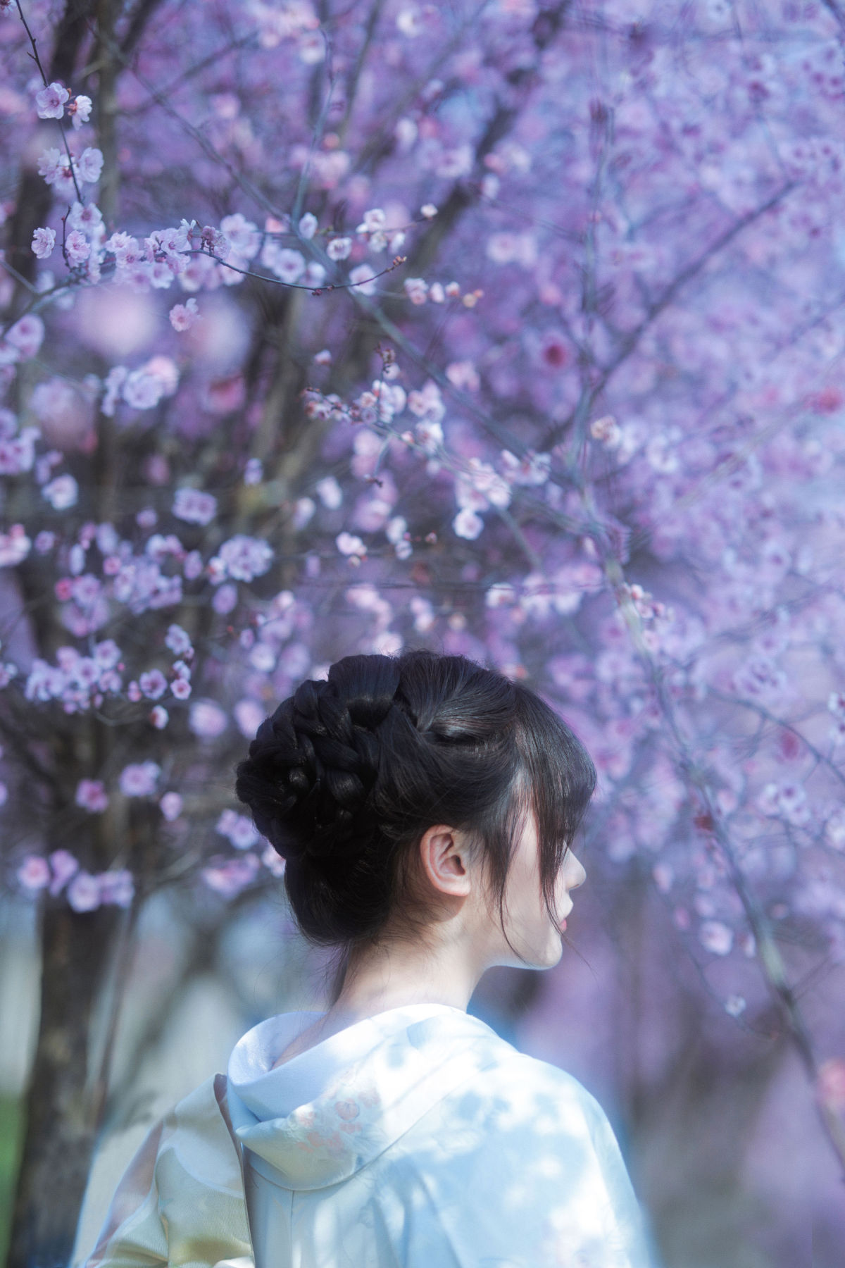 甜汐_小若《梦中之花》美图作品图片5