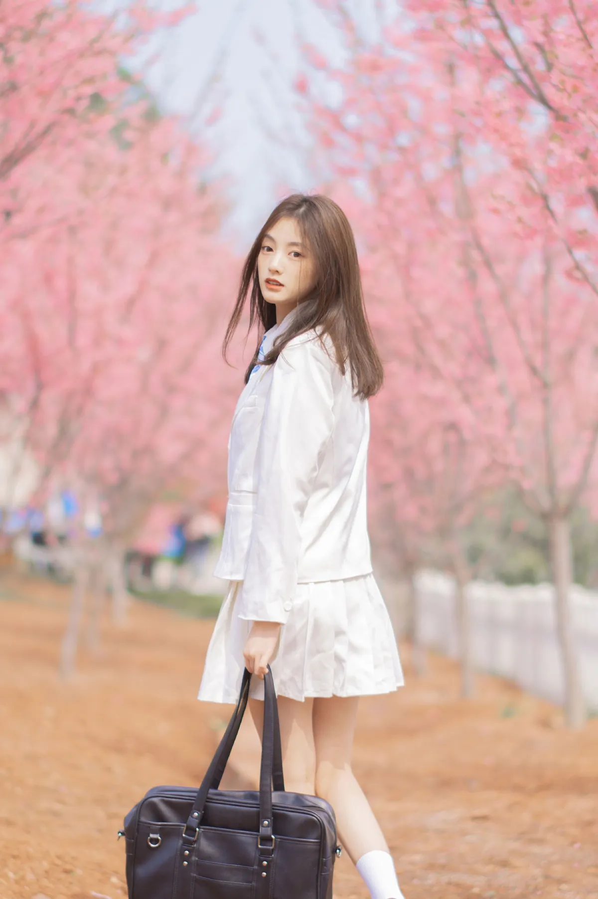 樱吹叶4