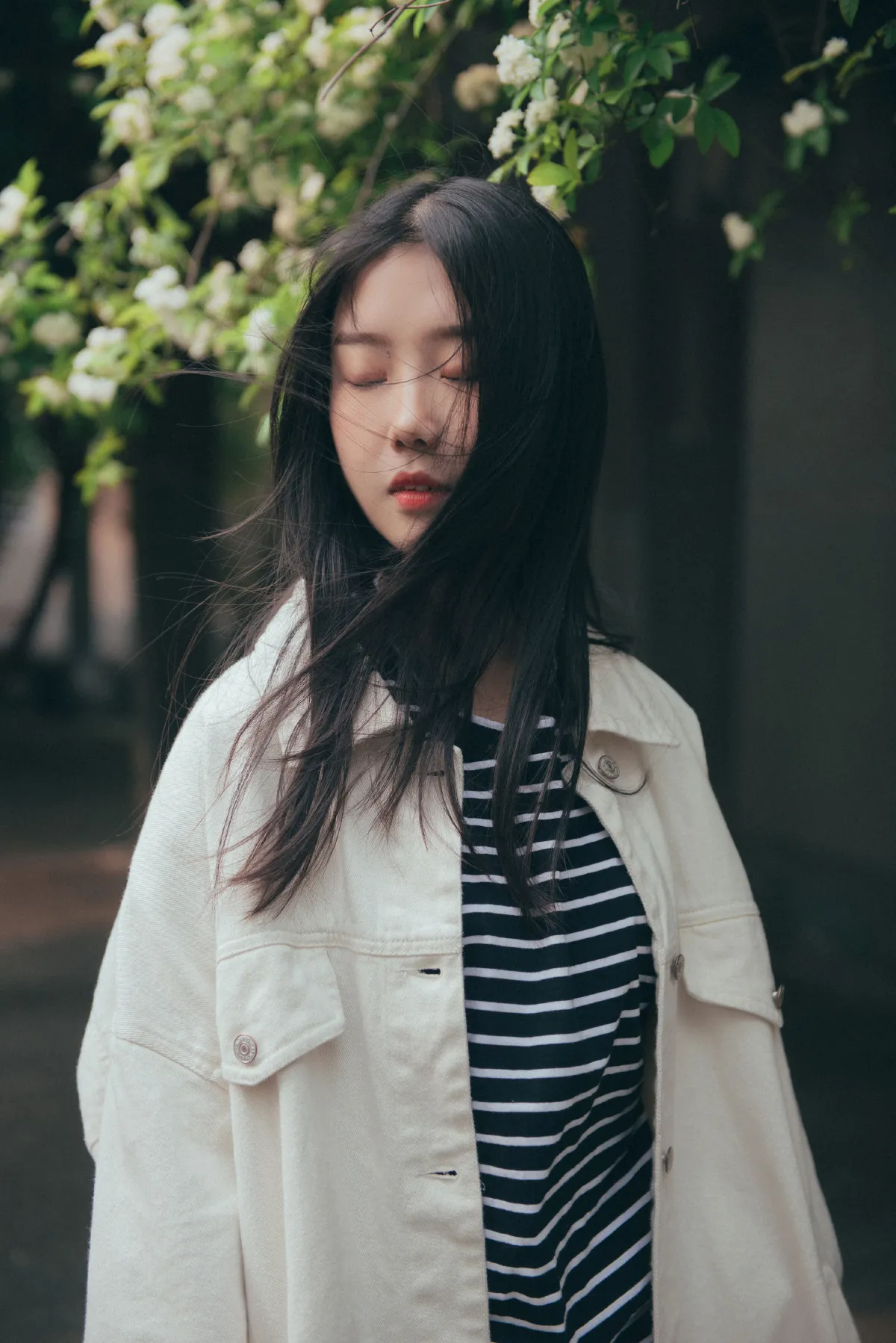 花开之时3