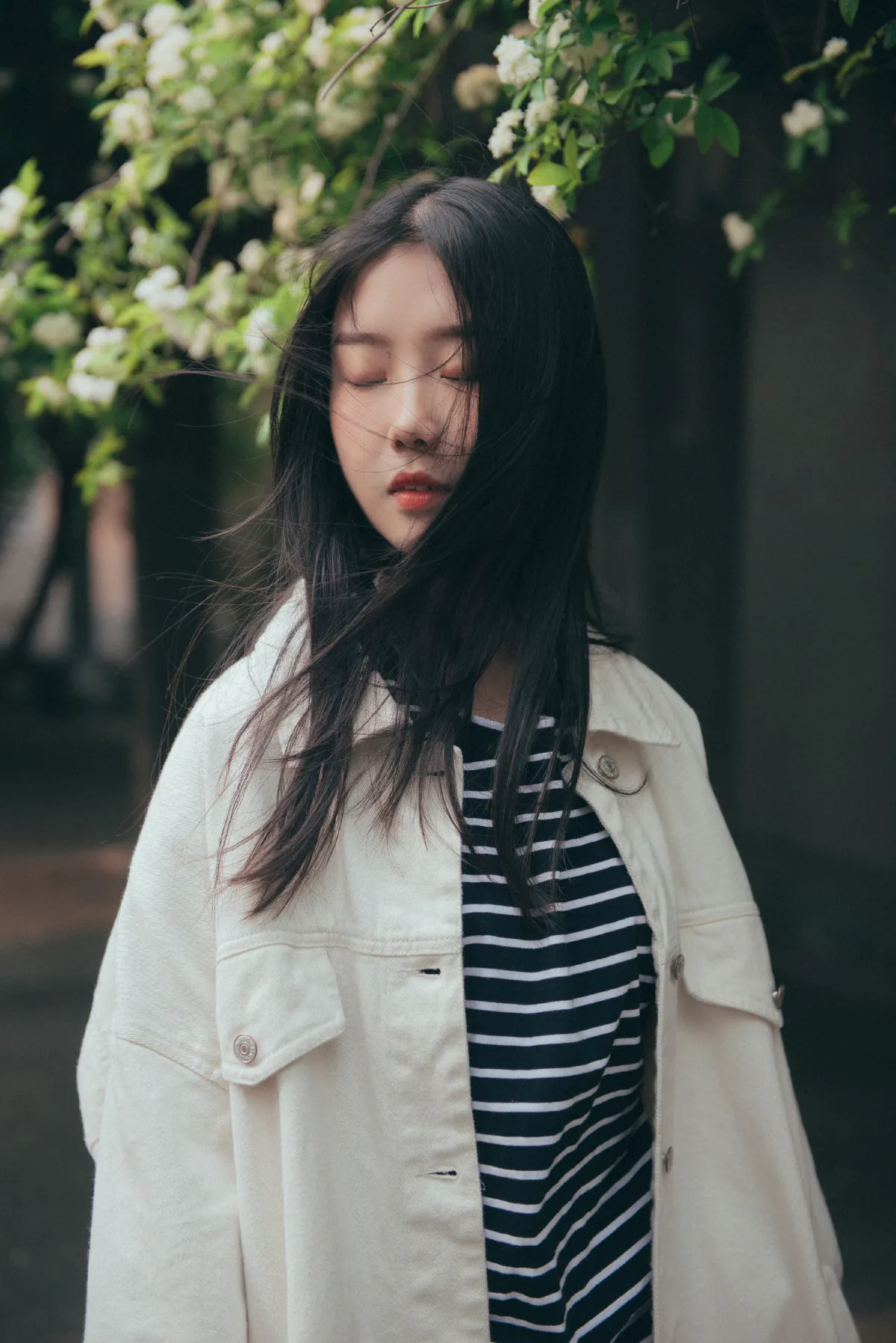 花开之时3