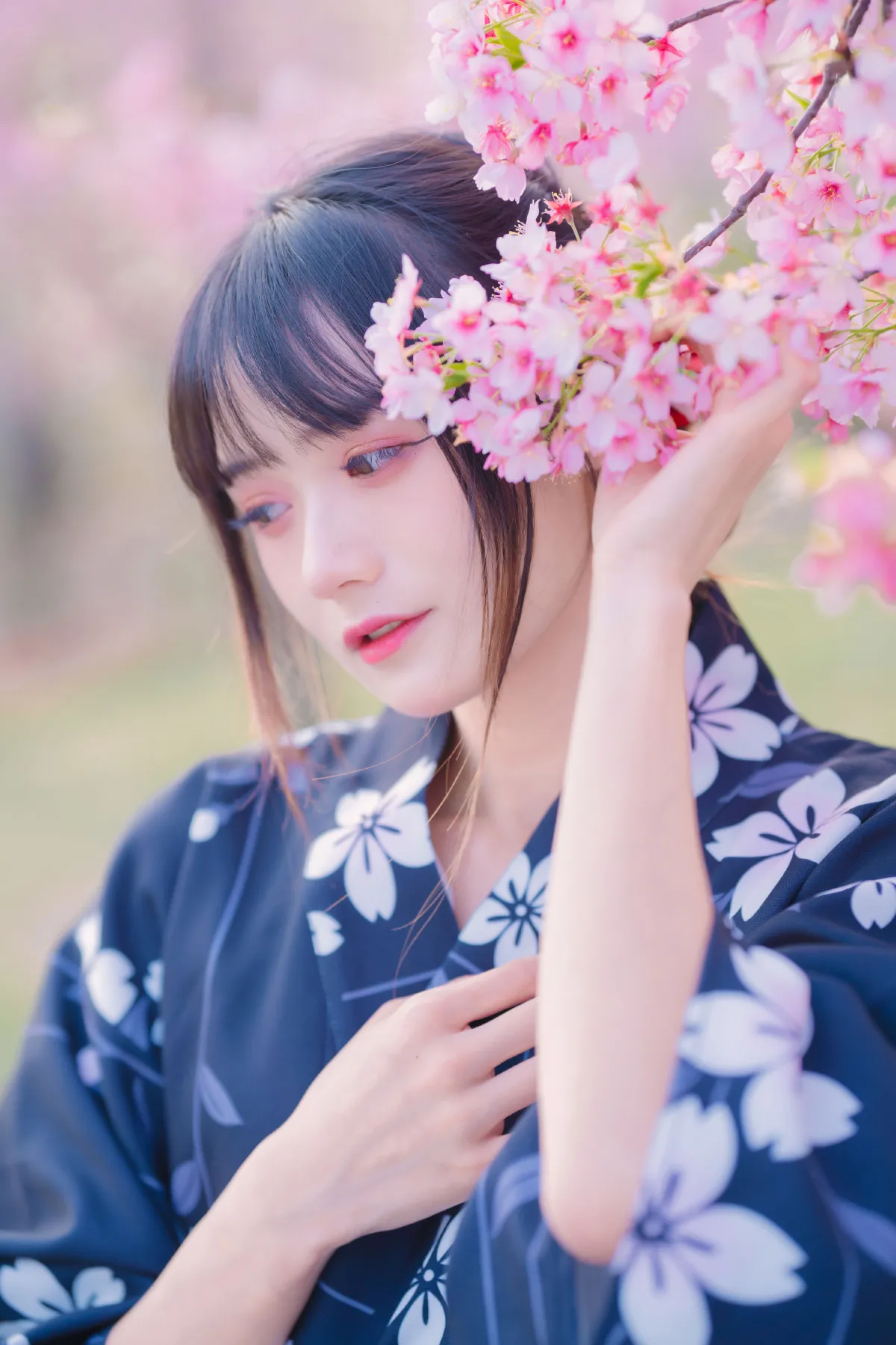 樱花烂漫时