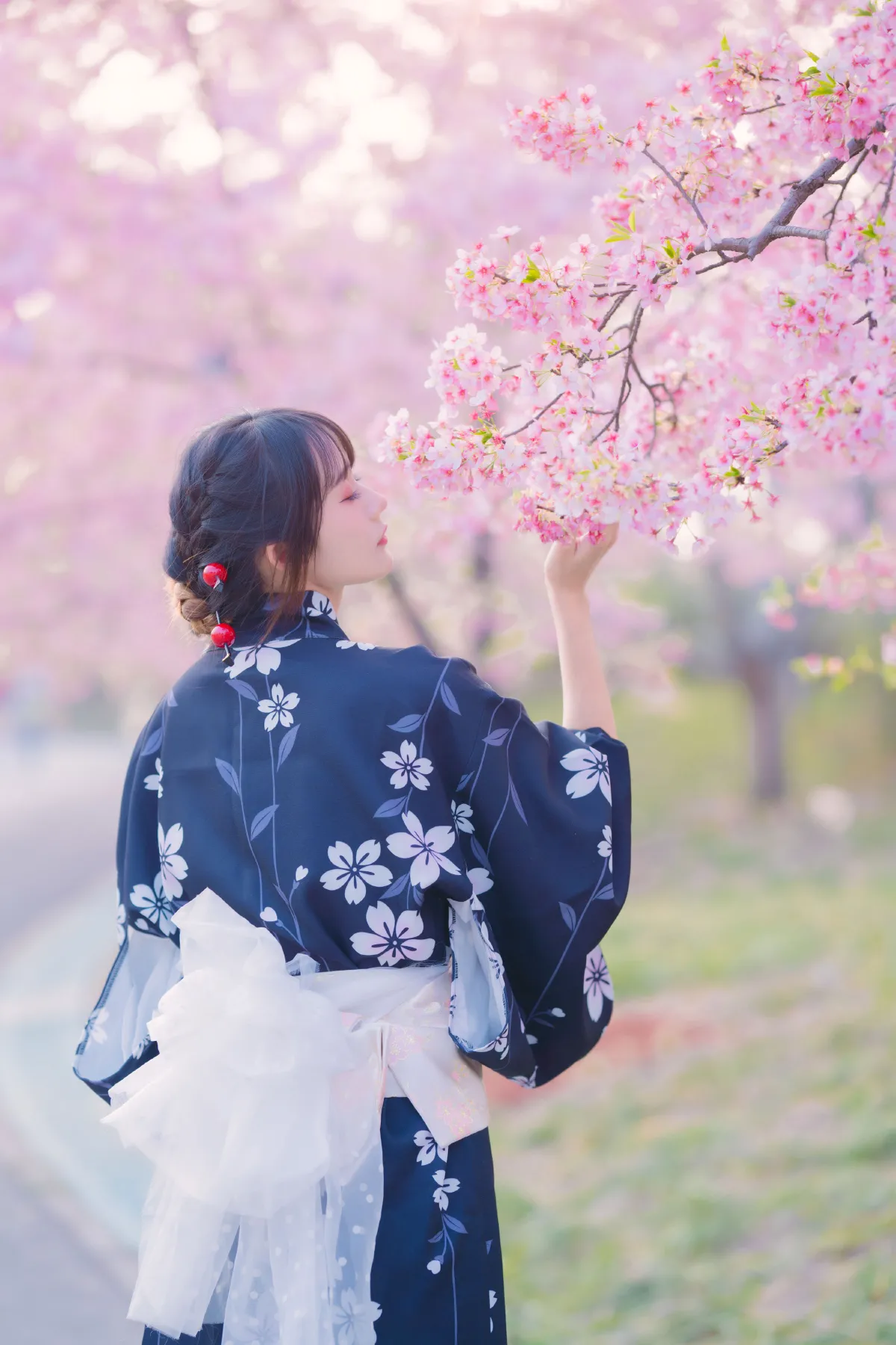 樱花烂漫时