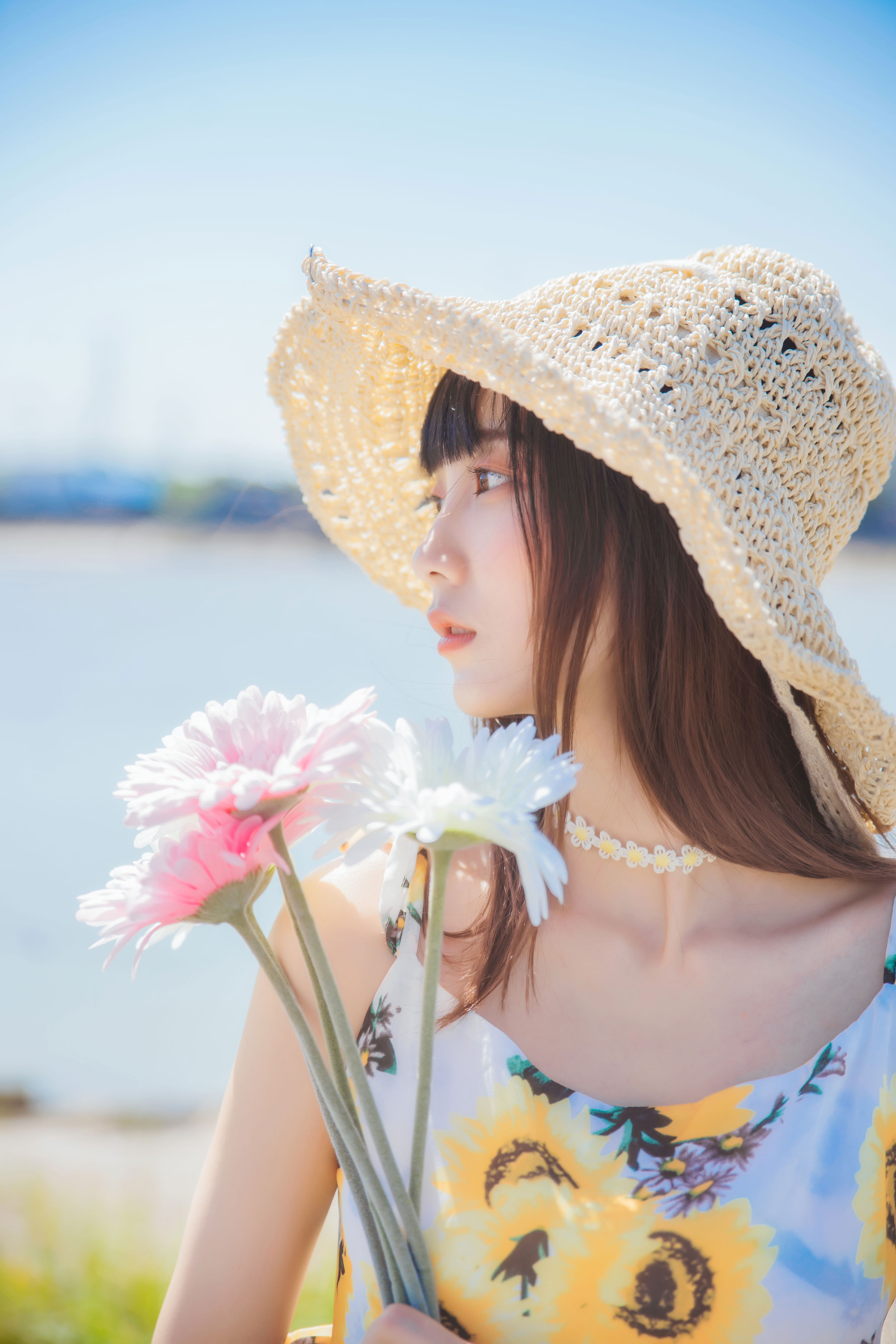向日葵味的夏天