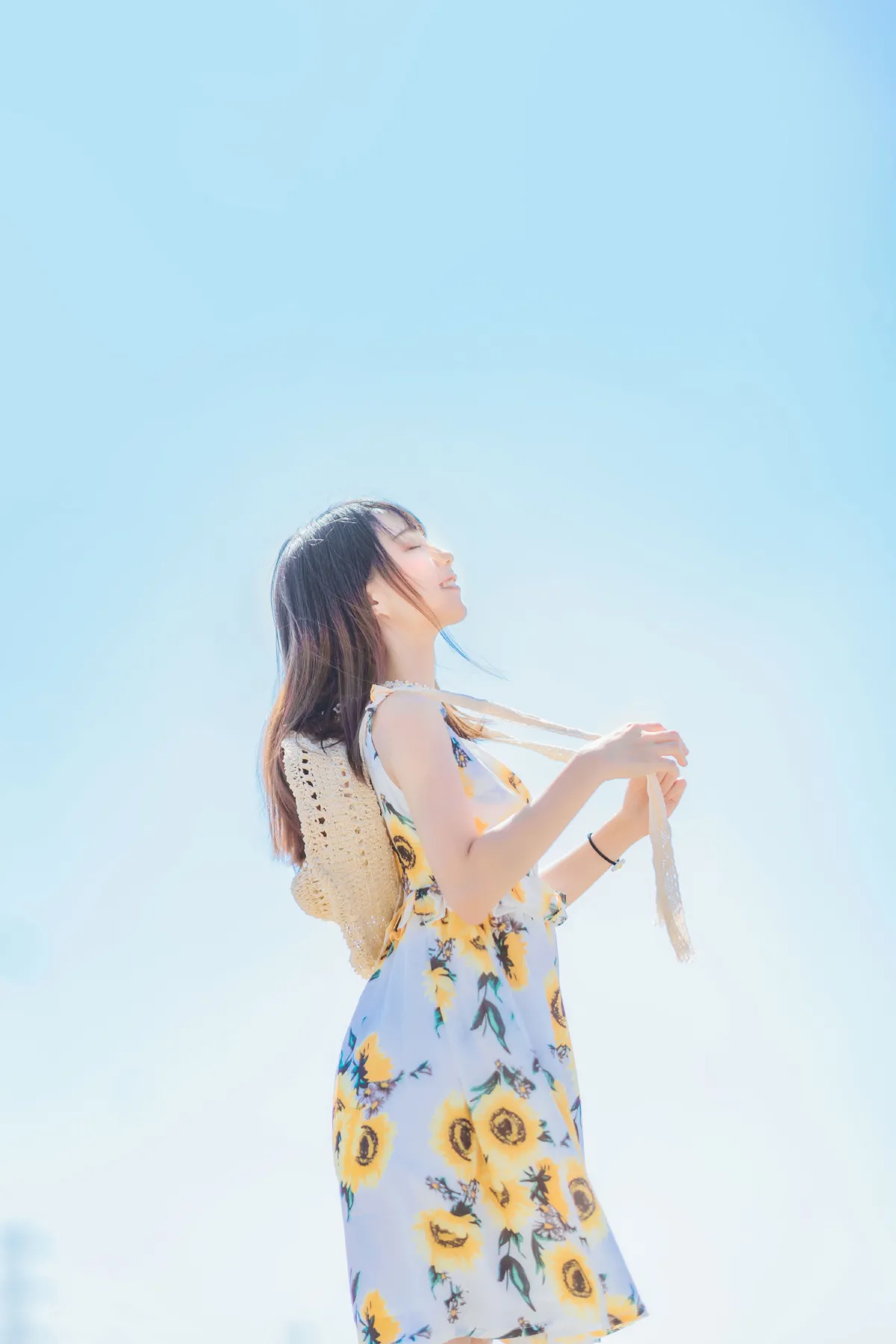 向日葵味的夏天