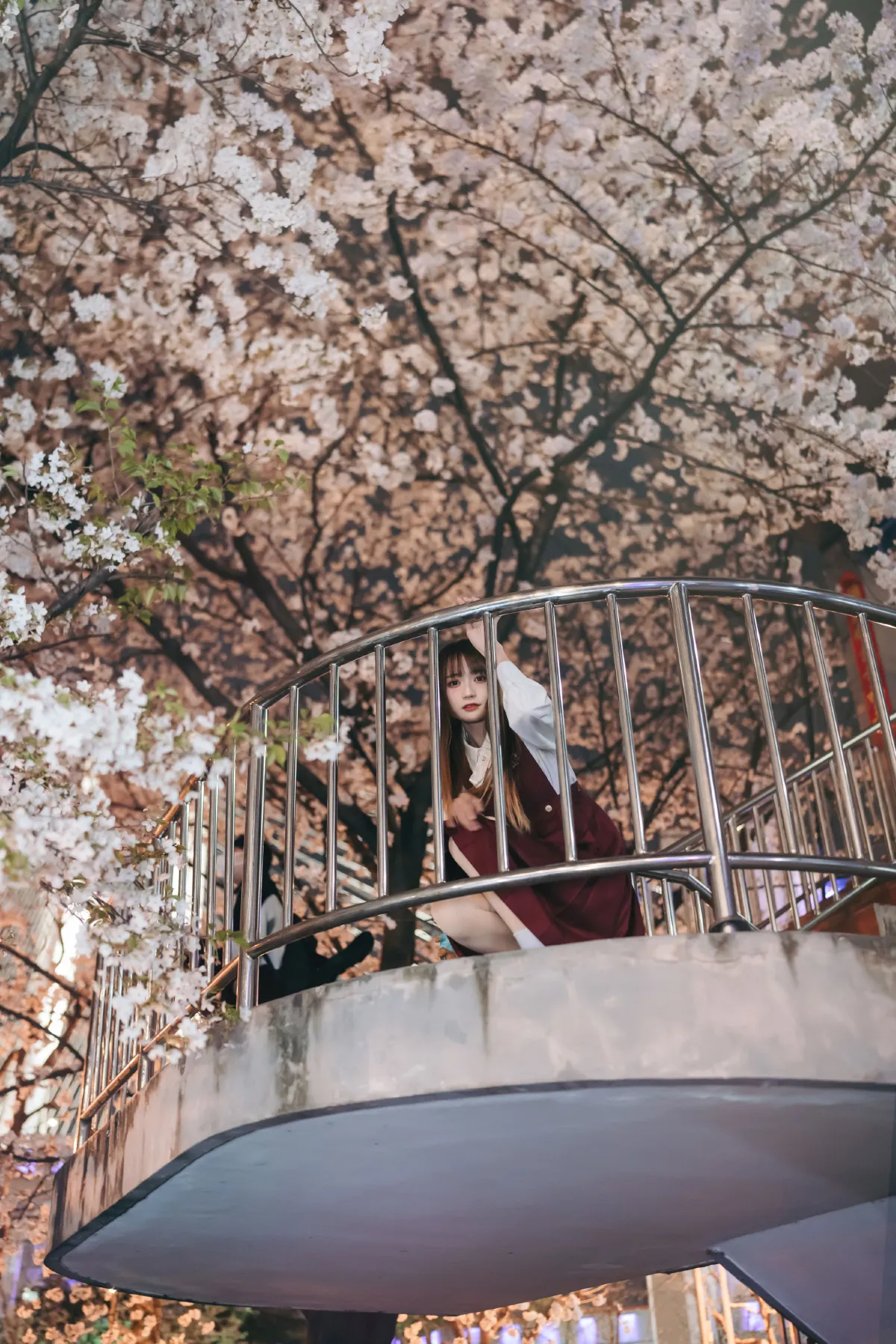 邂逅樱花雨