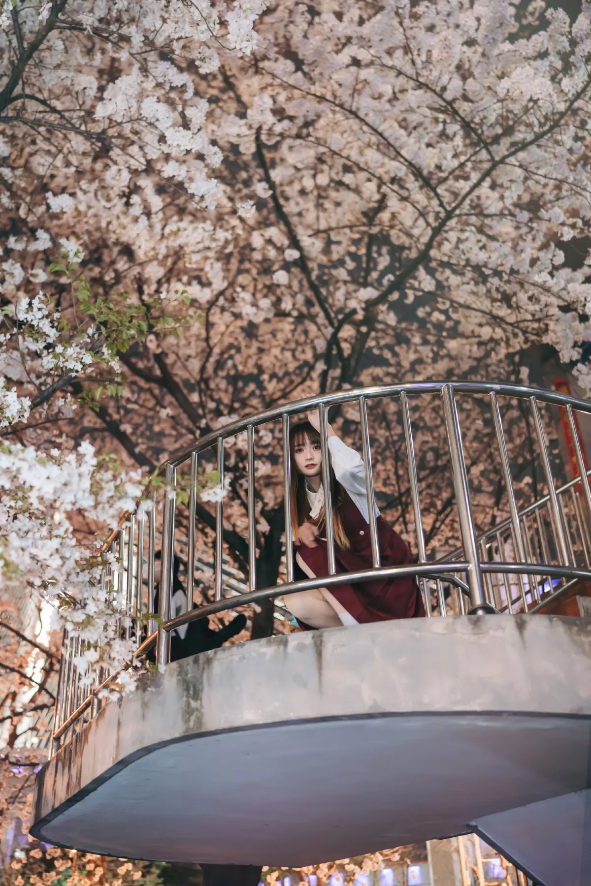 雷斯写真集_兔子Zzz不吃胡萝卜《邂逅樱花雨》美图作品图片4