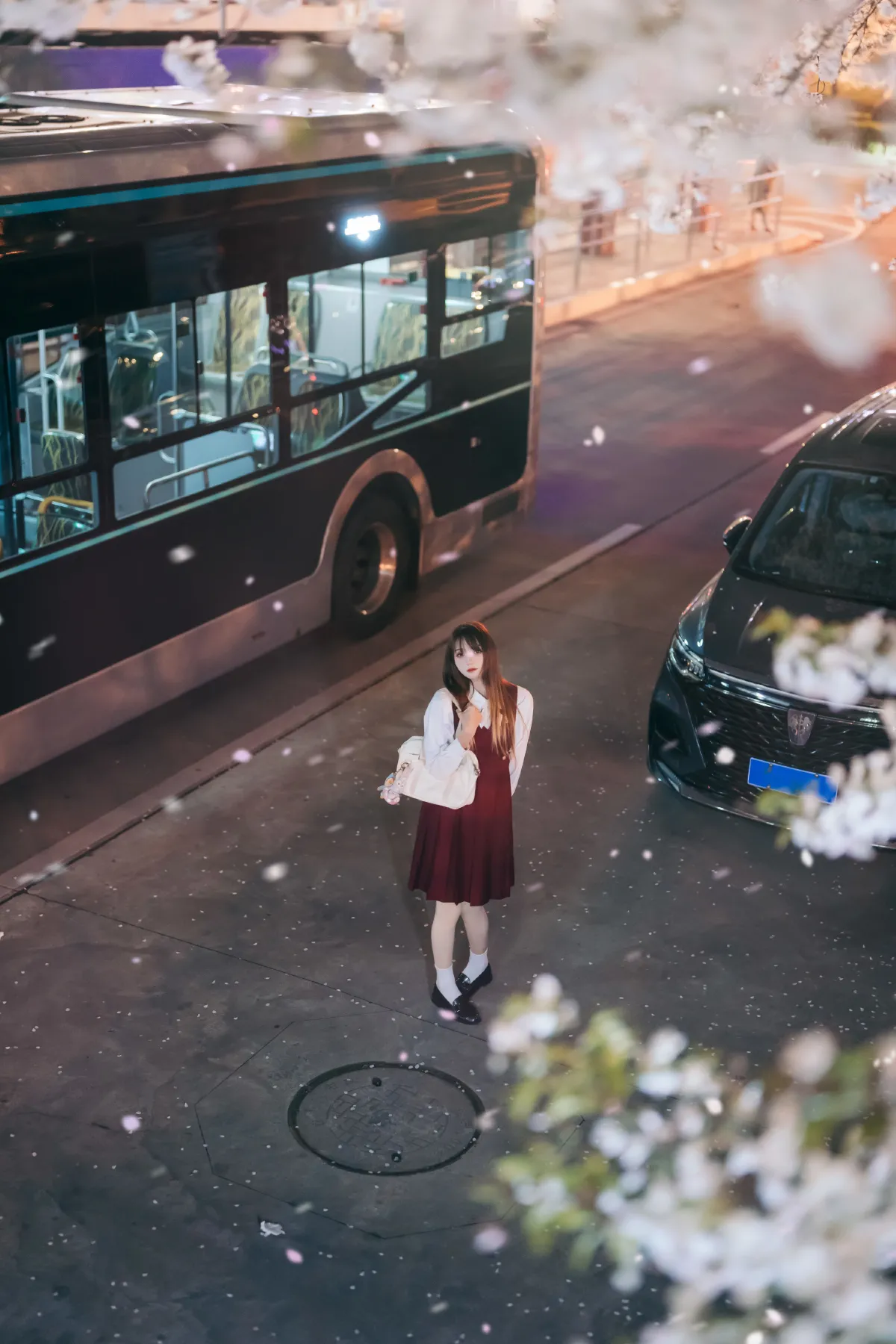 邂逅樱花雨3