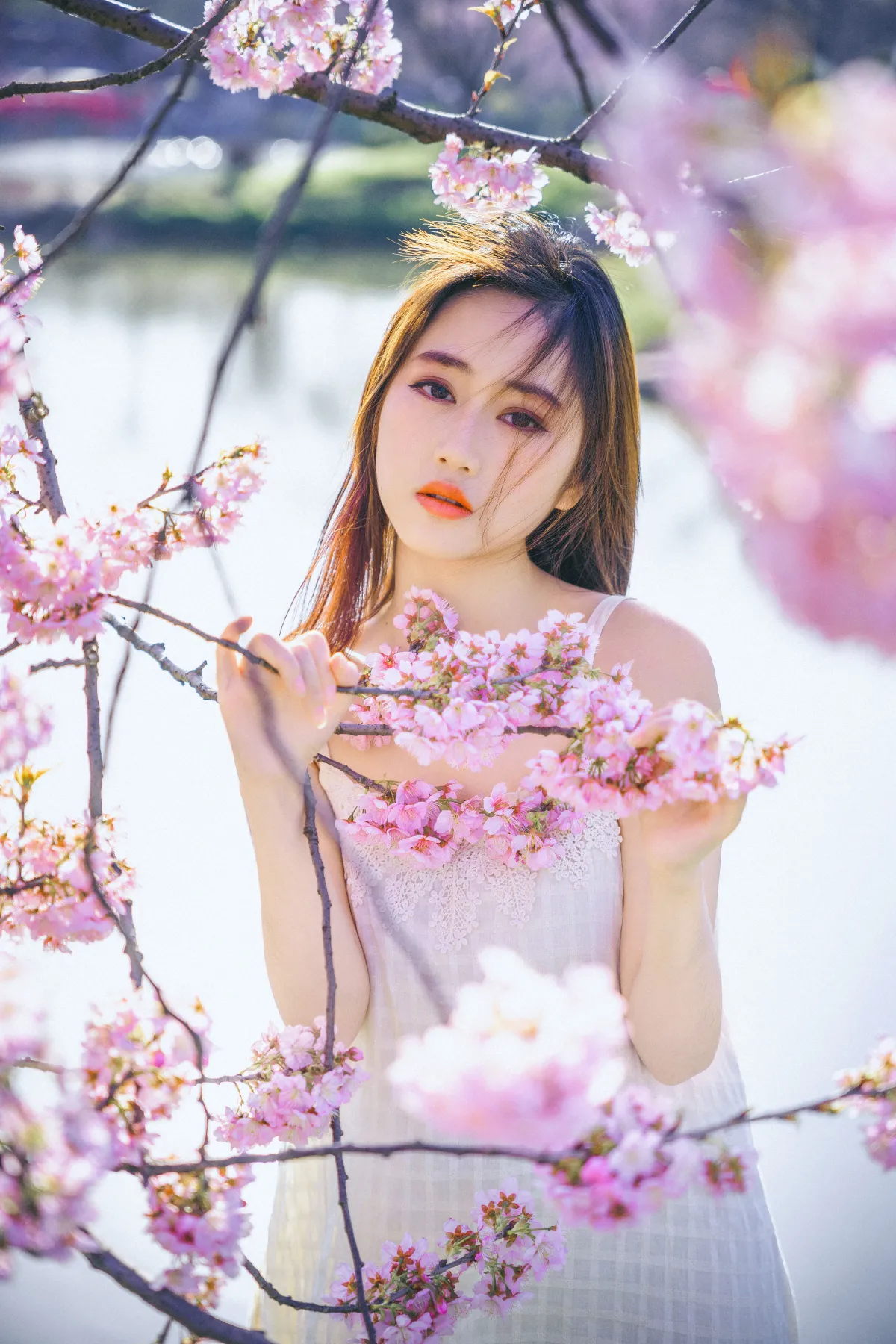 随遇_乐乐《樱花物语》美图作品图片4