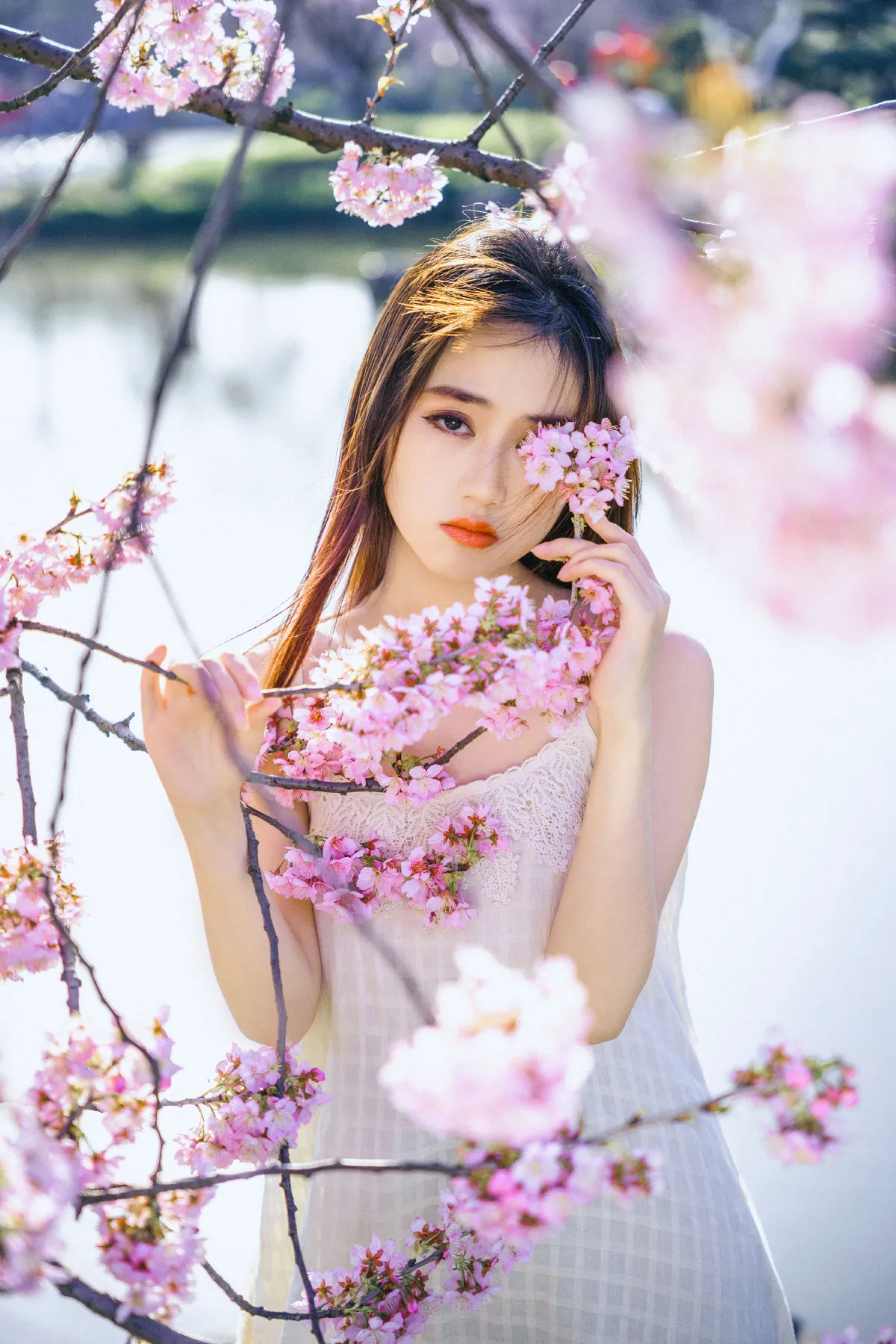随遇_乐乐《樱花物语》美图作品图片5