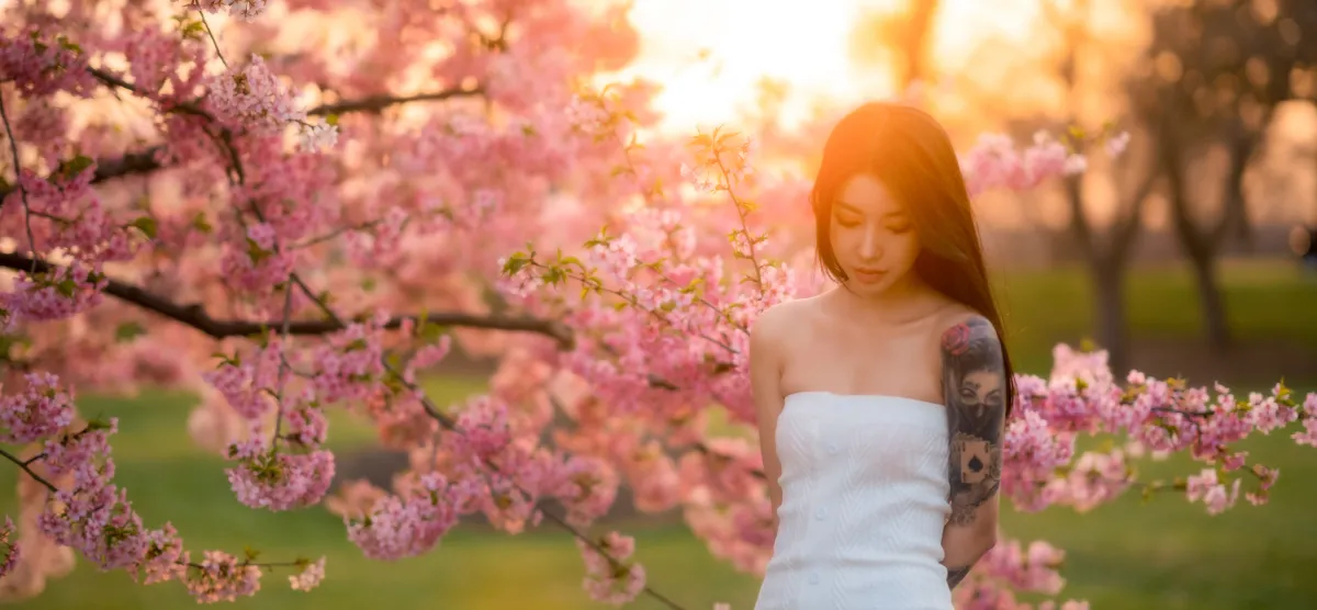 樱花季节