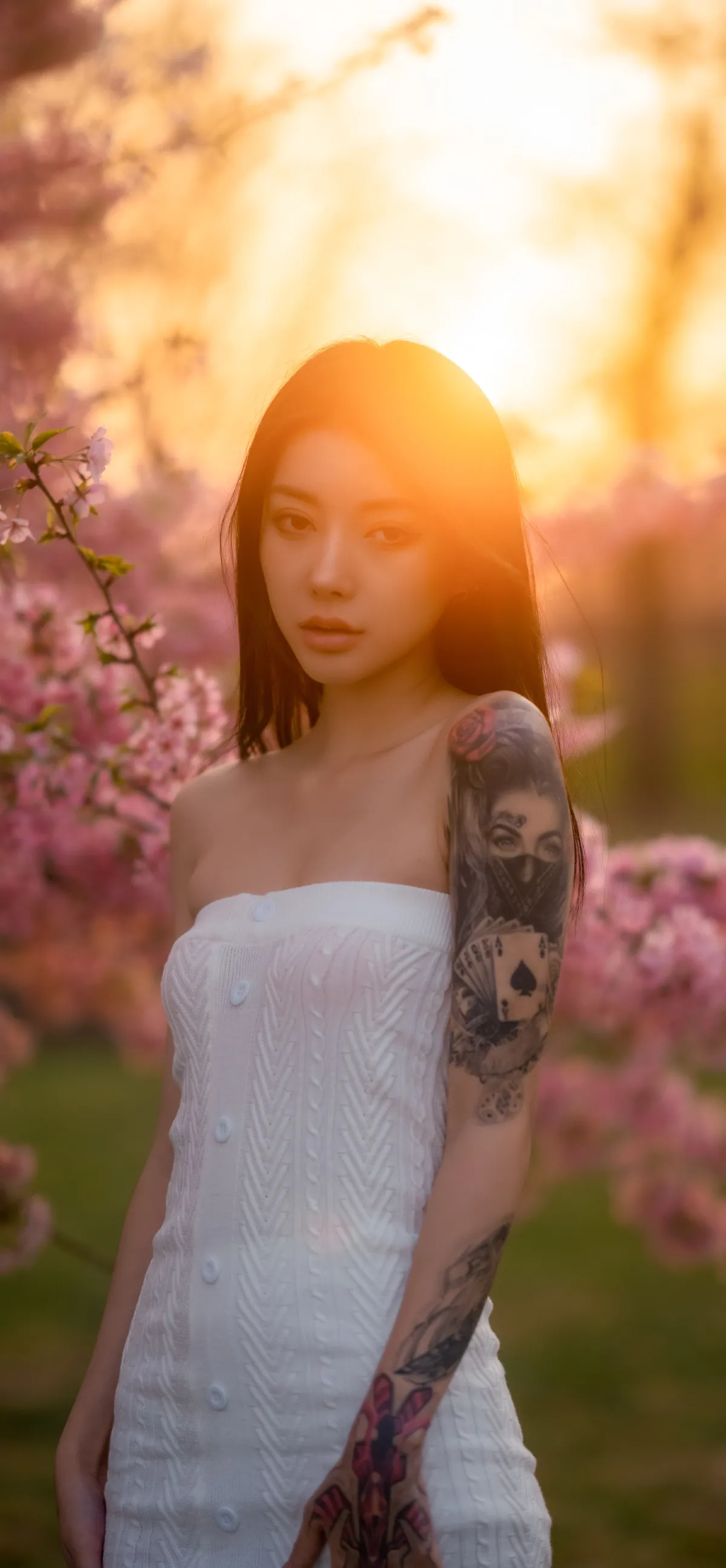 樱花季节2