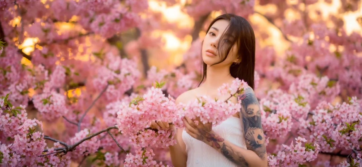 樱花季节