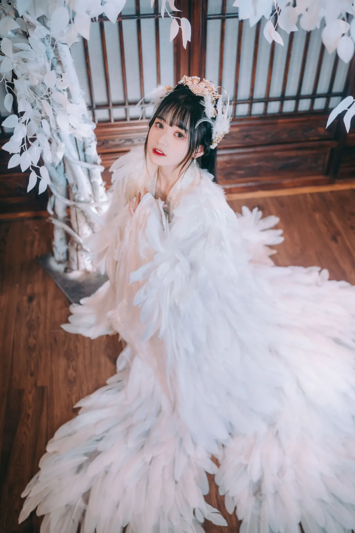 吉祥鸟