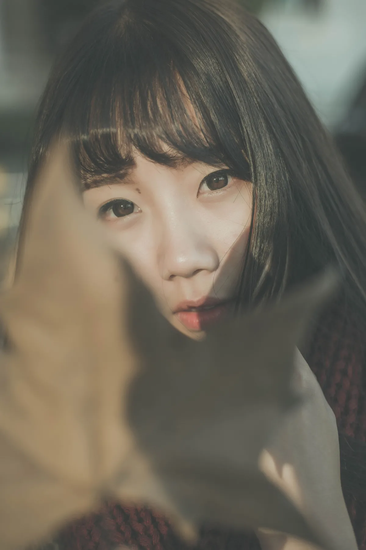 南国的冬1