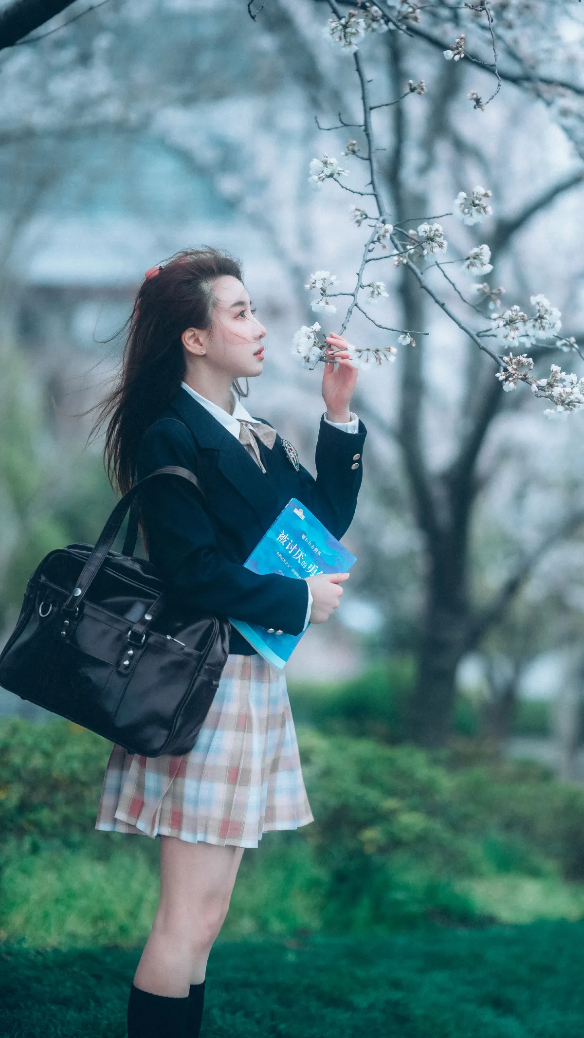 少女与樱