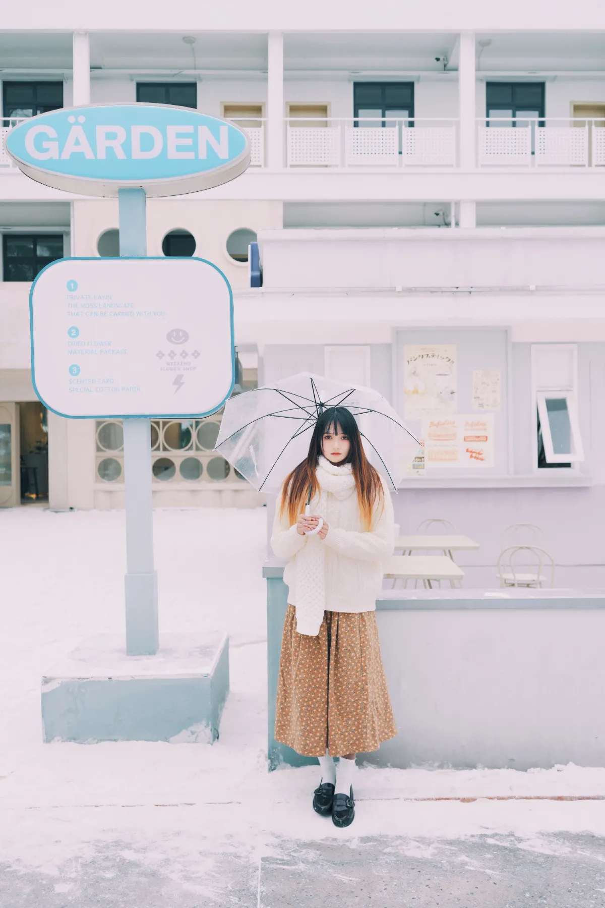 在雪中等待2