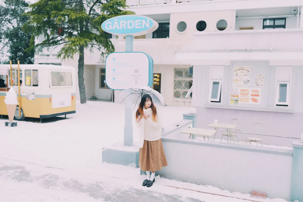 在雪中等待3