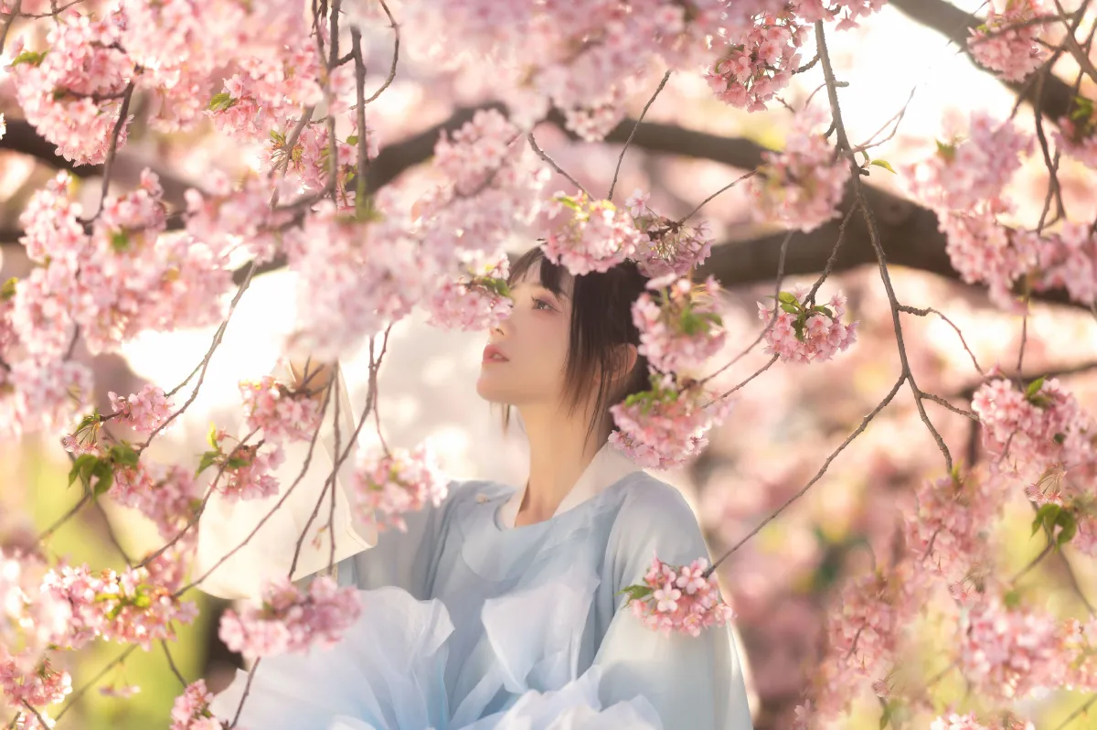 花满衣
