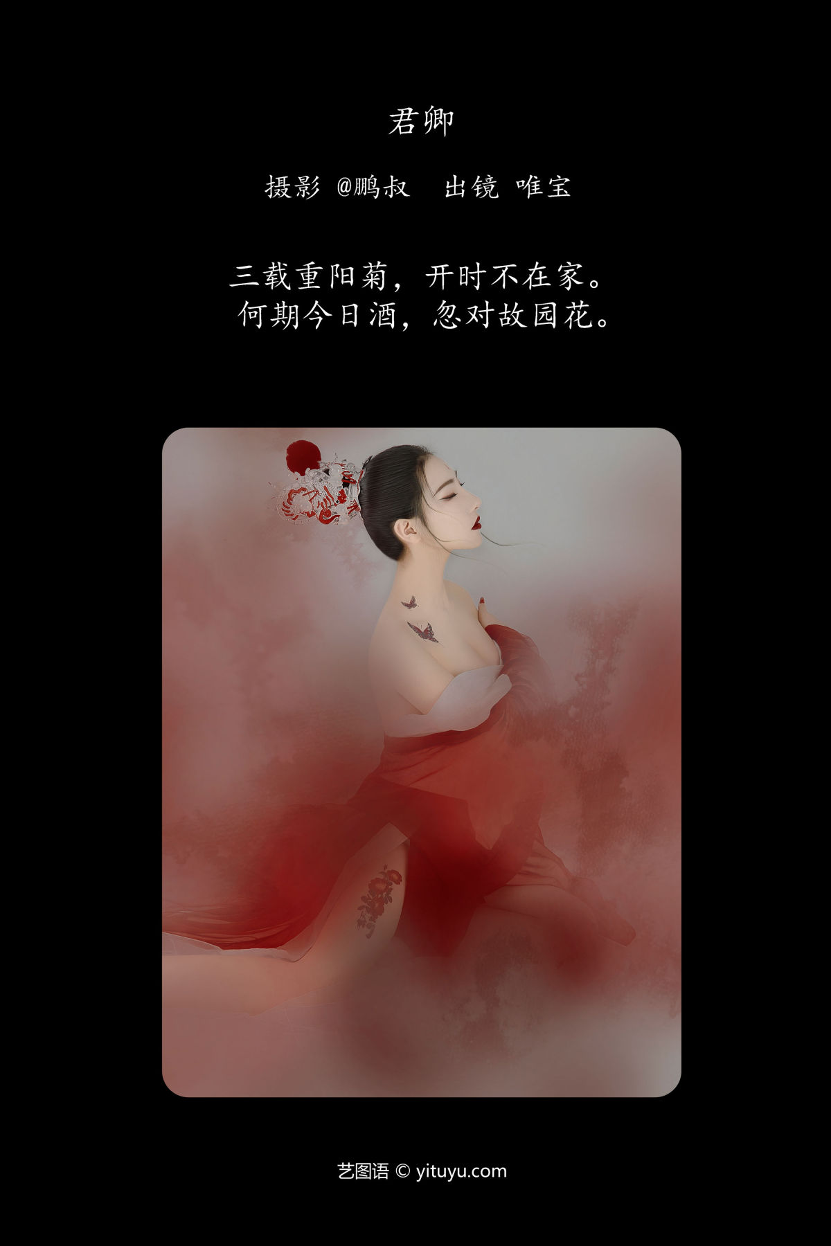 @鹏叔_唯宝《君卿》美图作品图片2