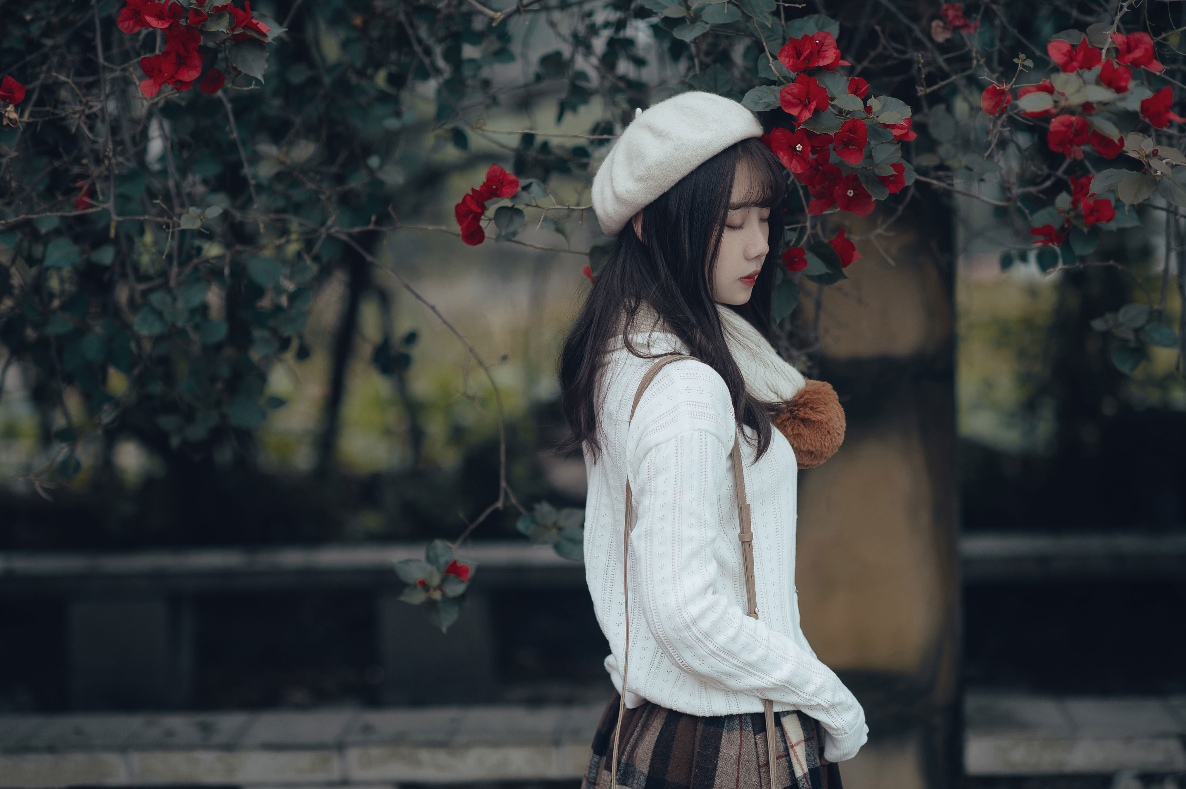 花未枯萎时