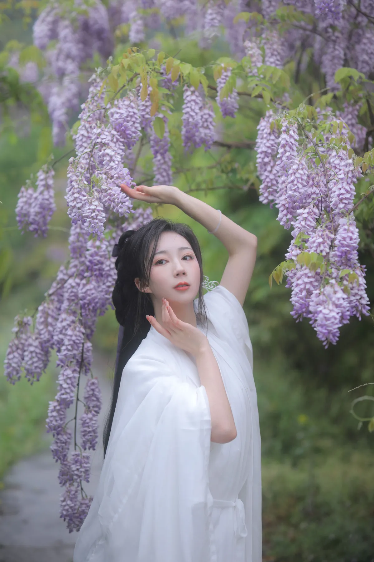 紫藤