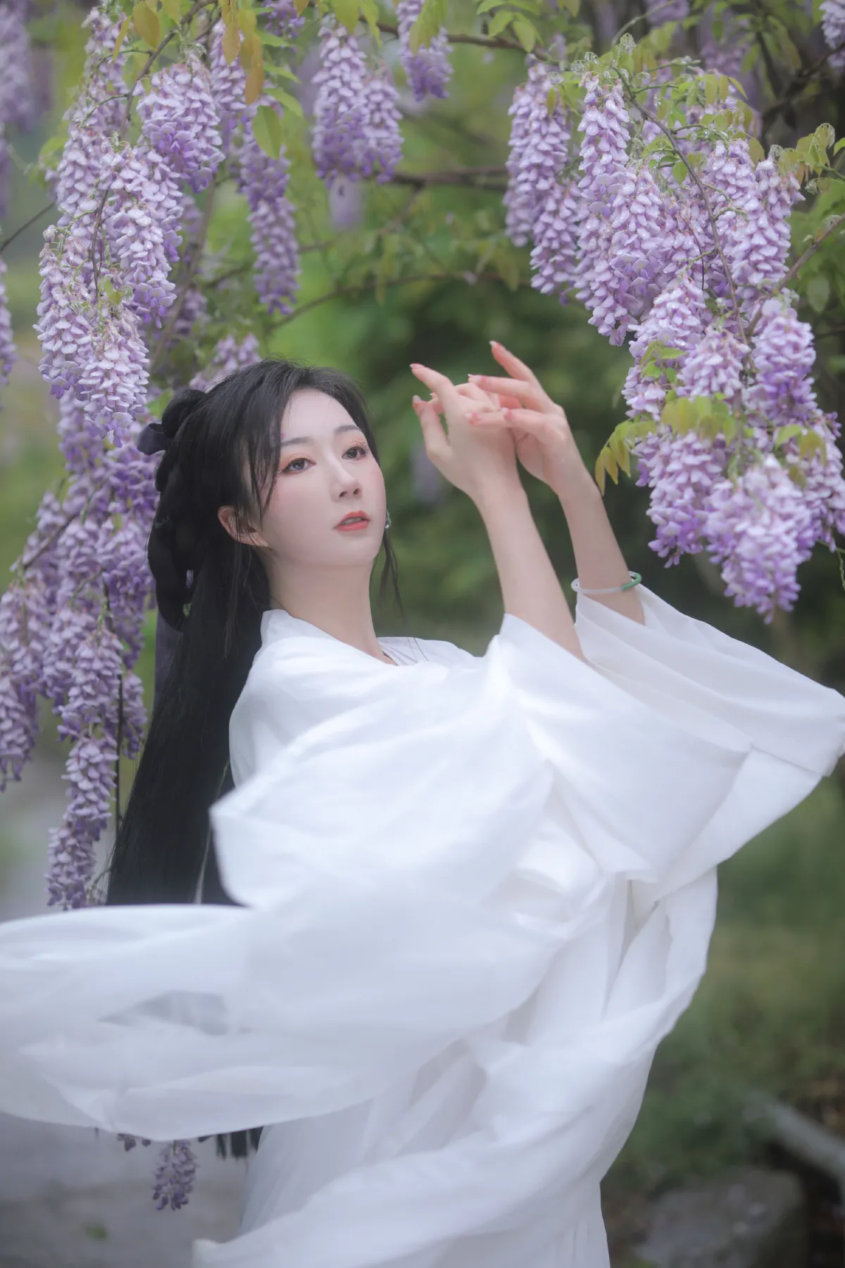 紫藤2