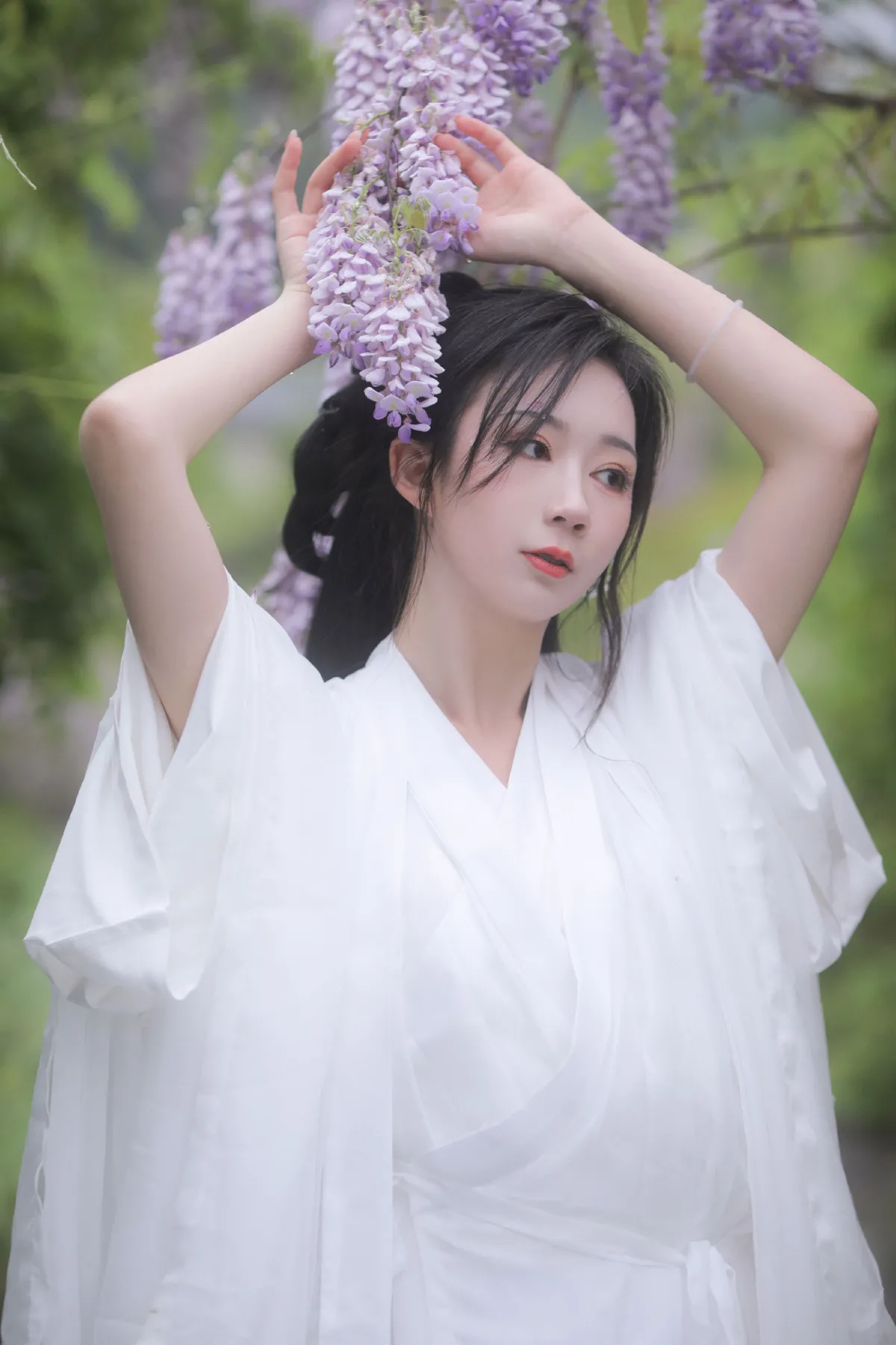 紫藤