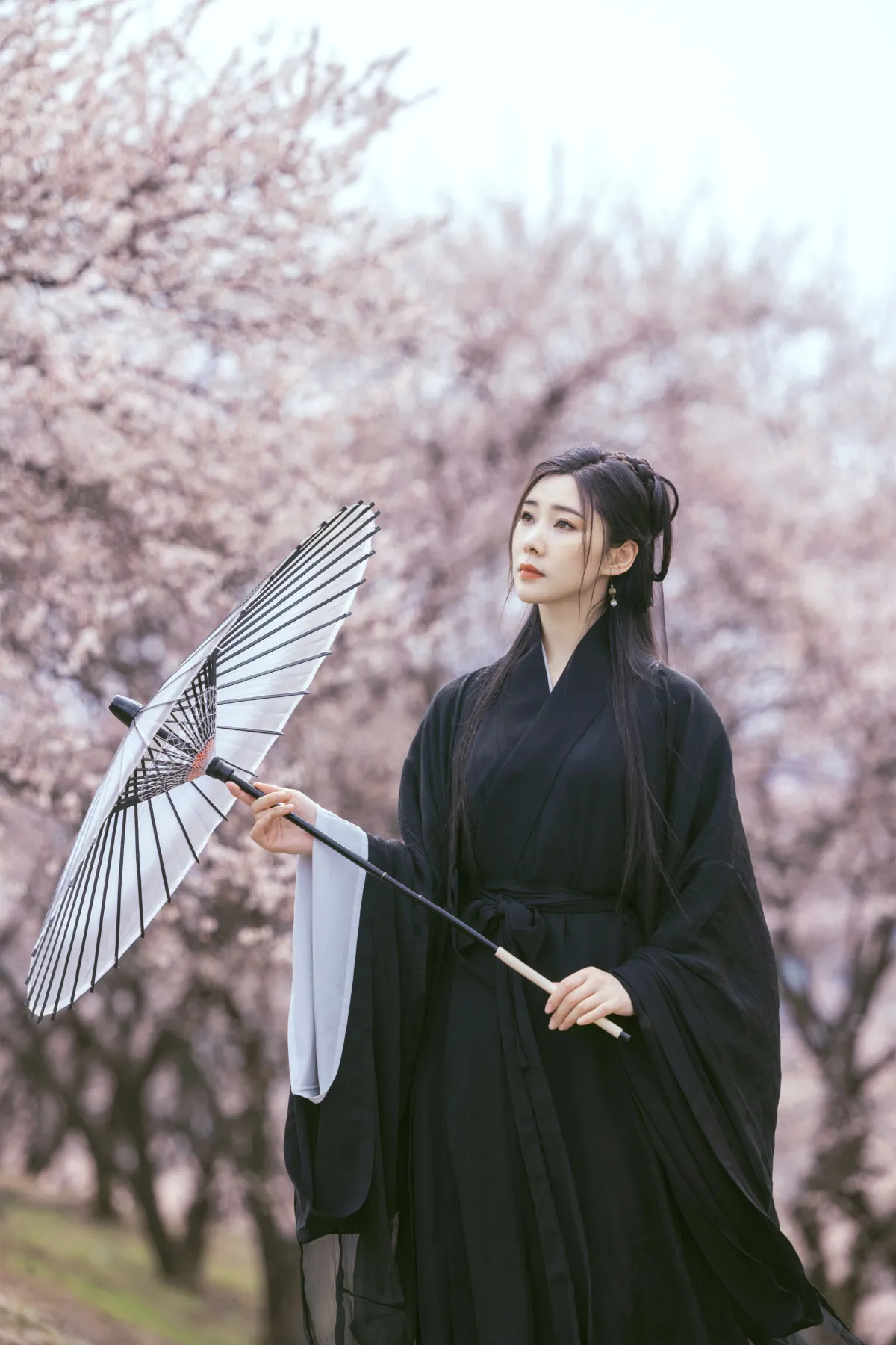 樱花1