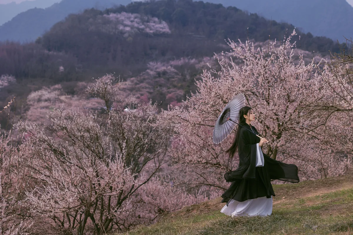 樱花