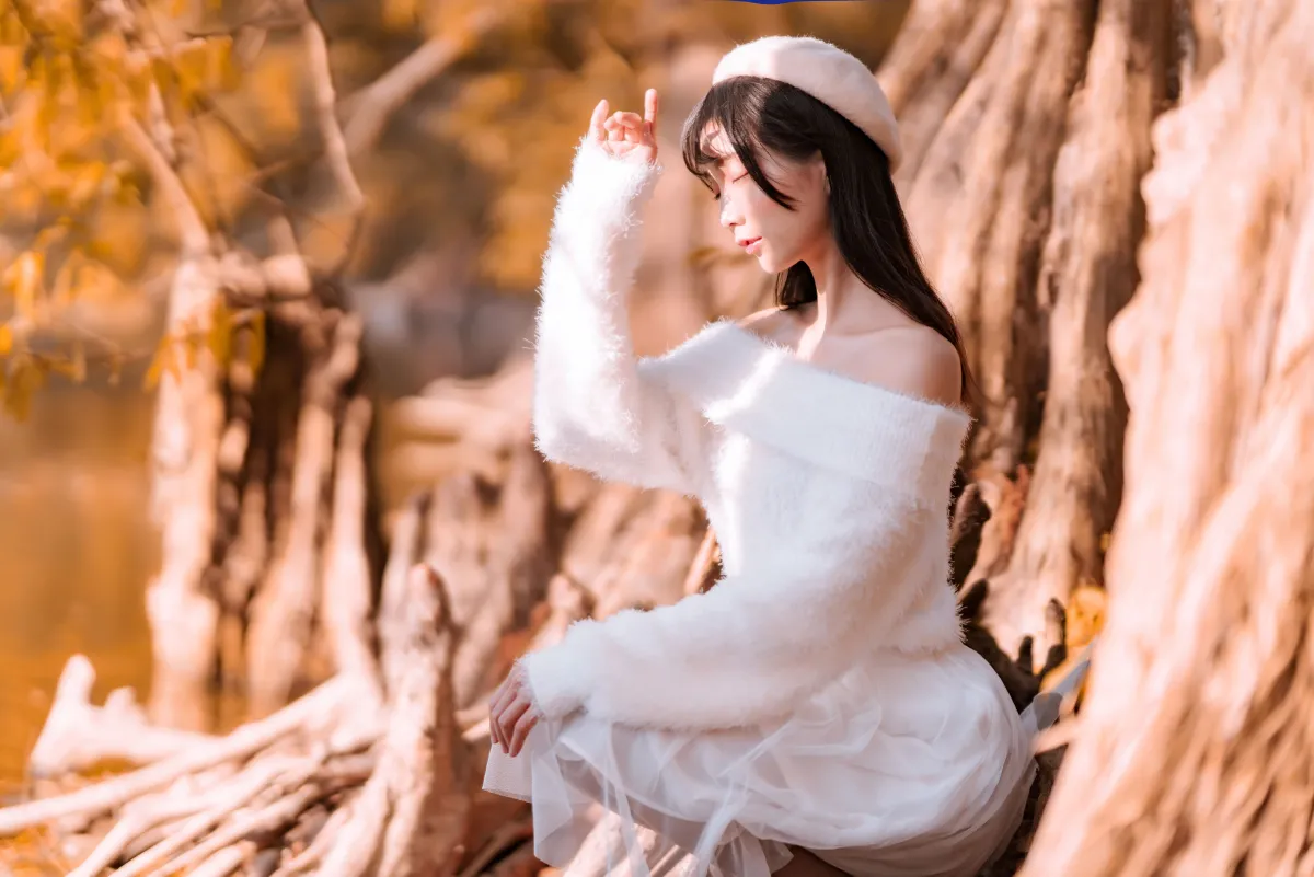 致一支秋曲