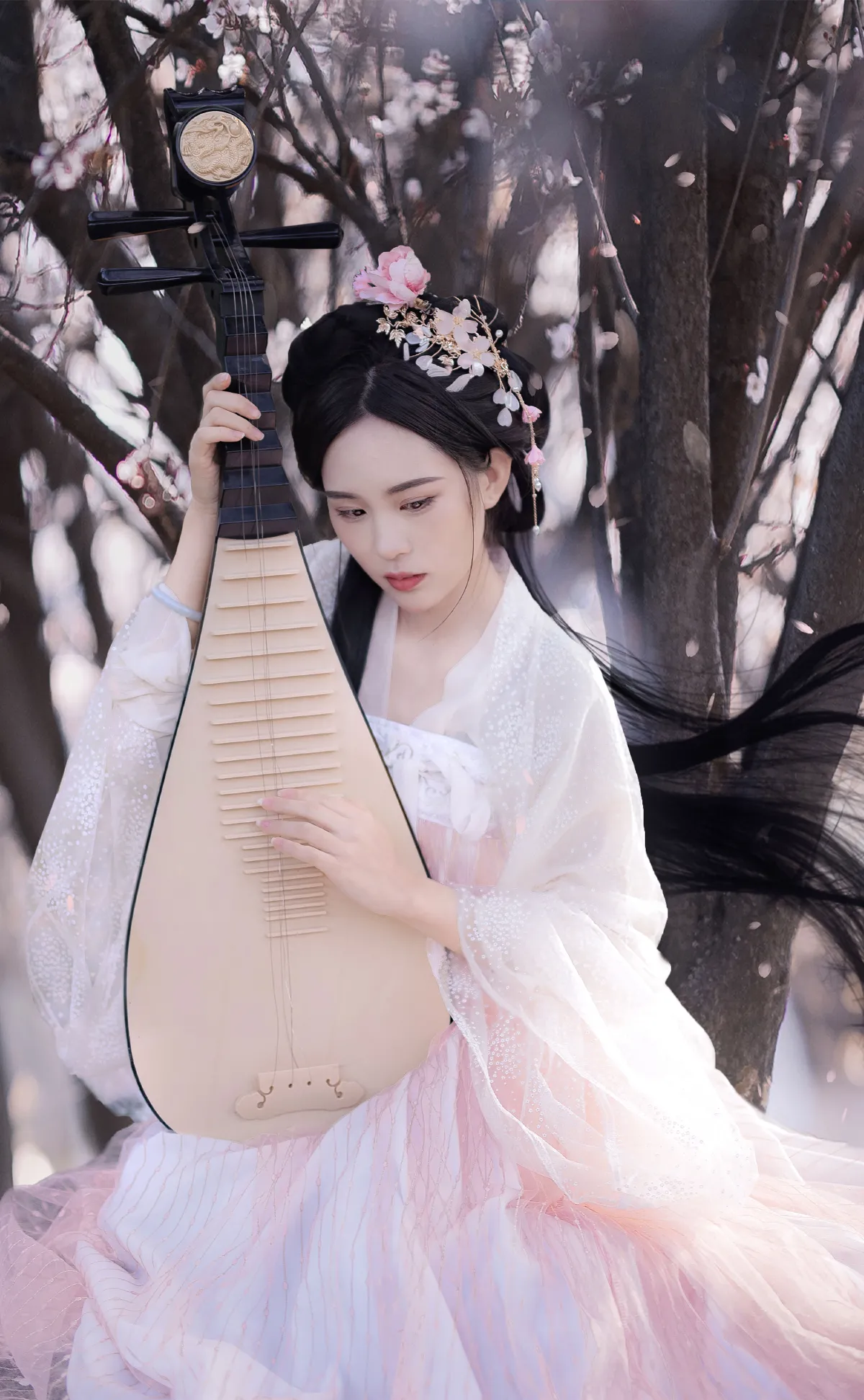 红叶李