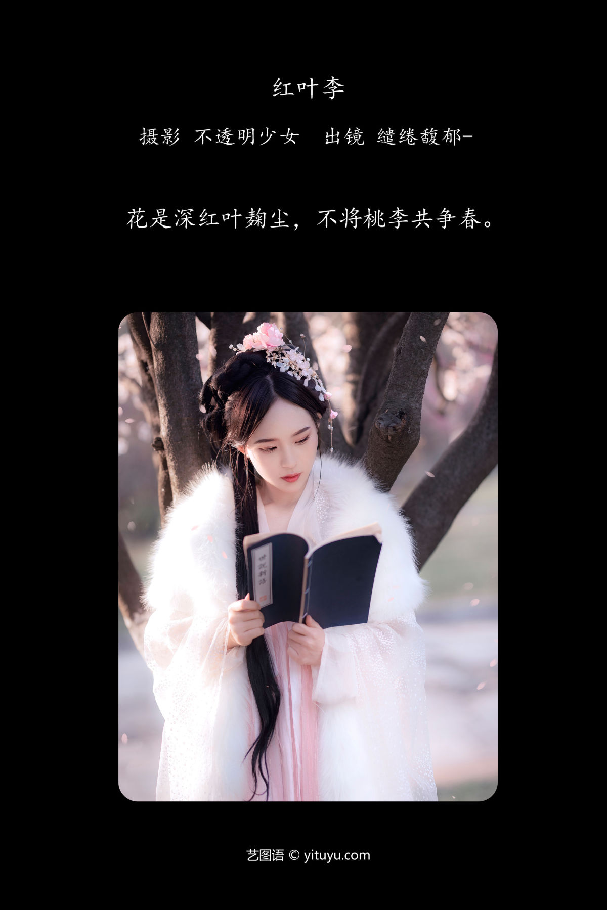 不透明少女_缱绻馥郁-《红叶李》美图作品图片2