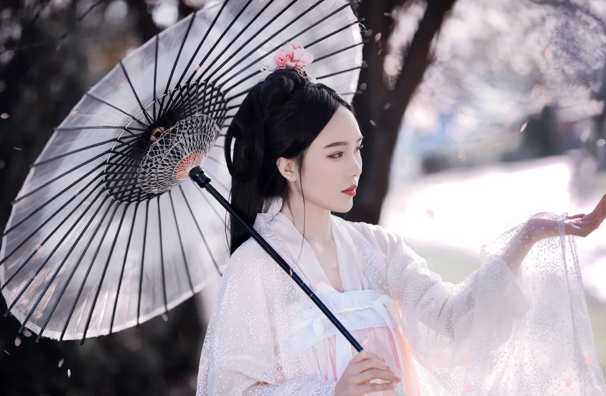 红叶李