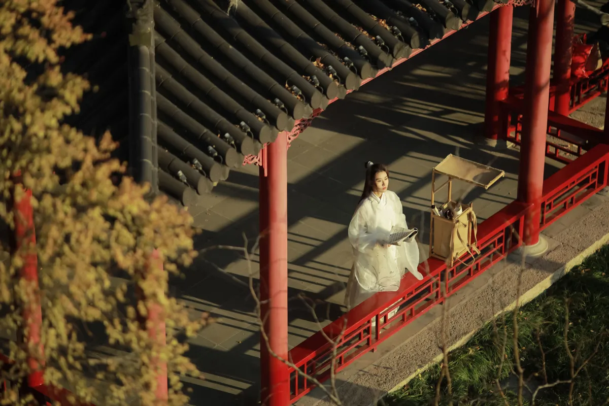 恰同学少年